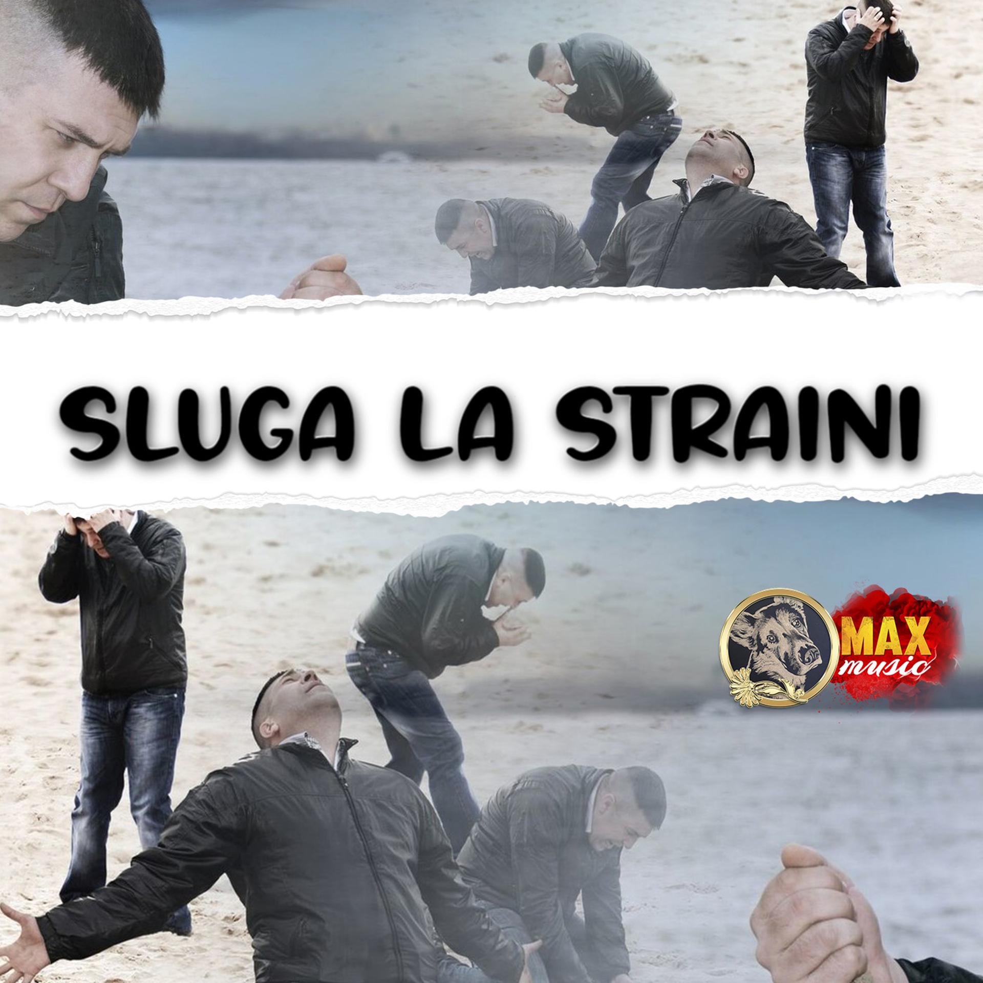 Постер альбома Sluga la straini