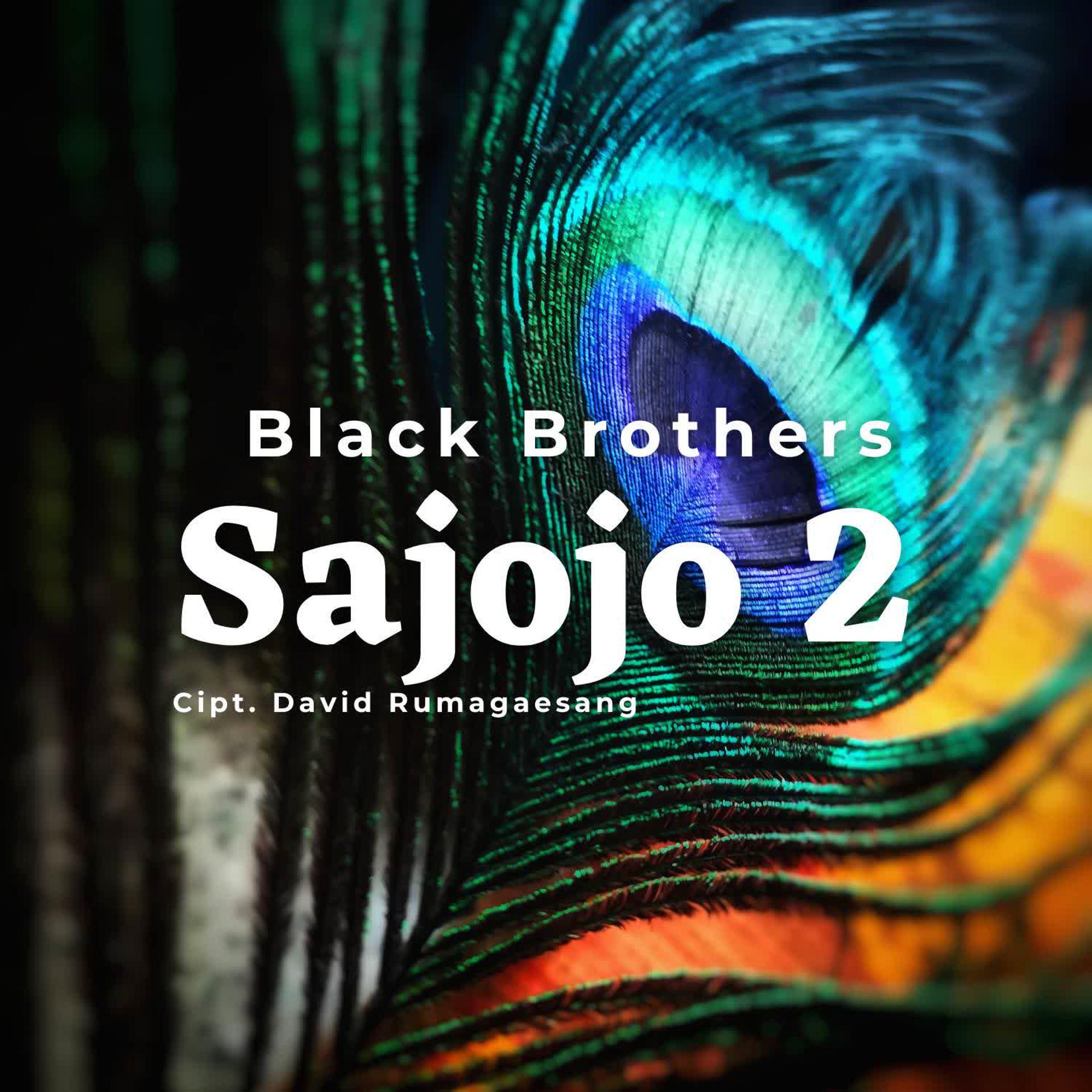Постер альбома Sajojo 2