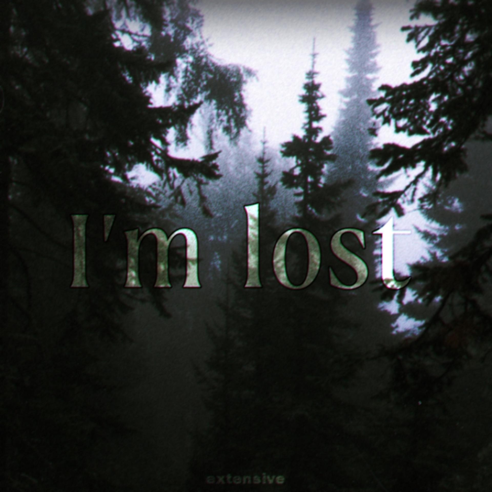 Постер альбома I'm Lost