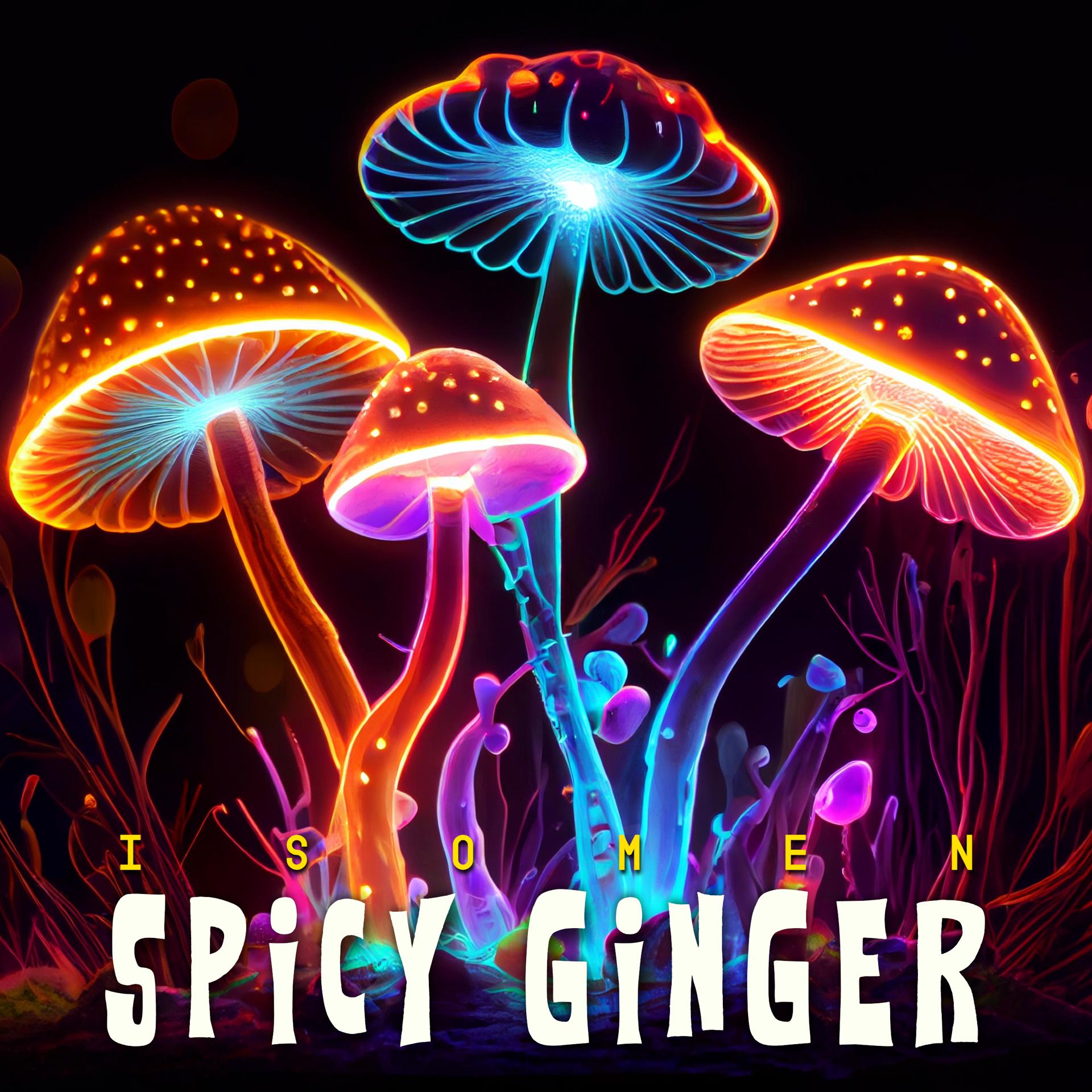 Постер альбома Spicy Ginger