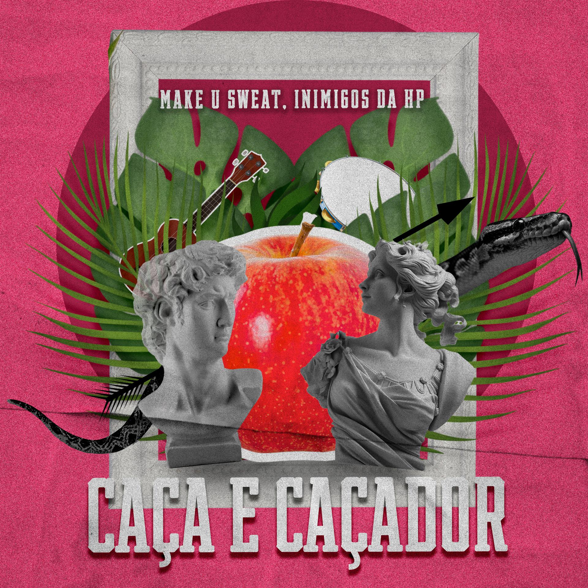 Постер альбома Caça e Caçador