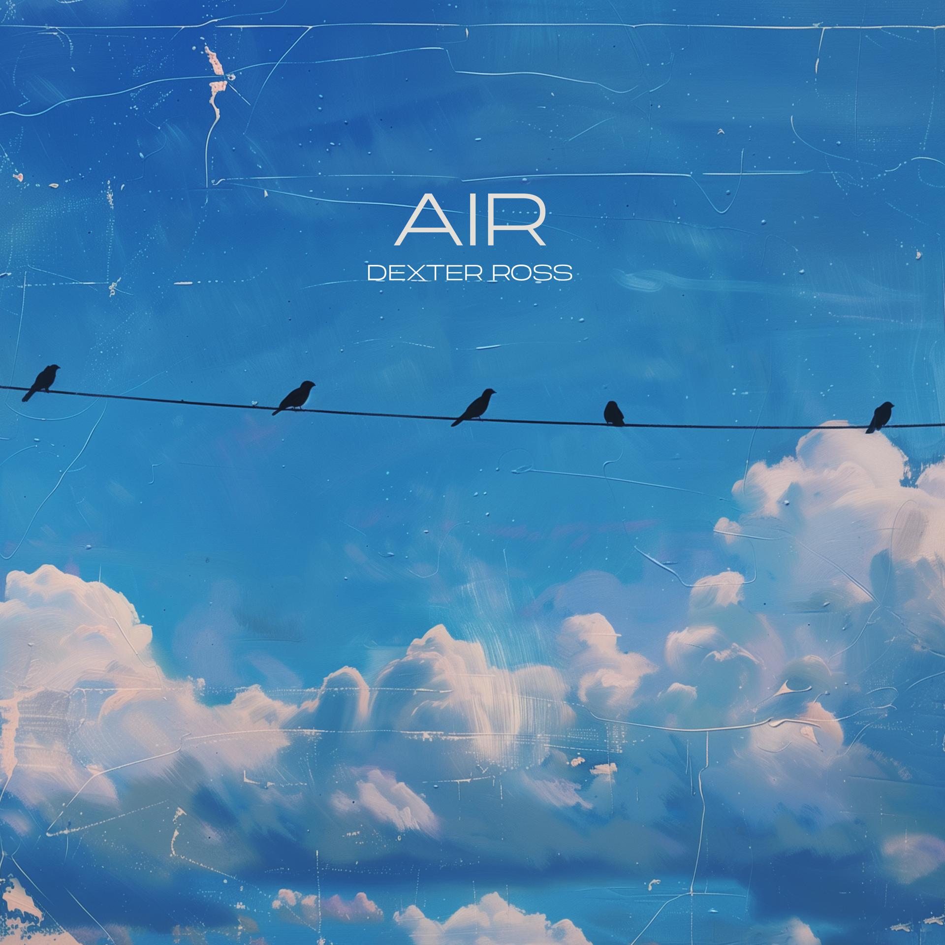 Постер альбома AIR