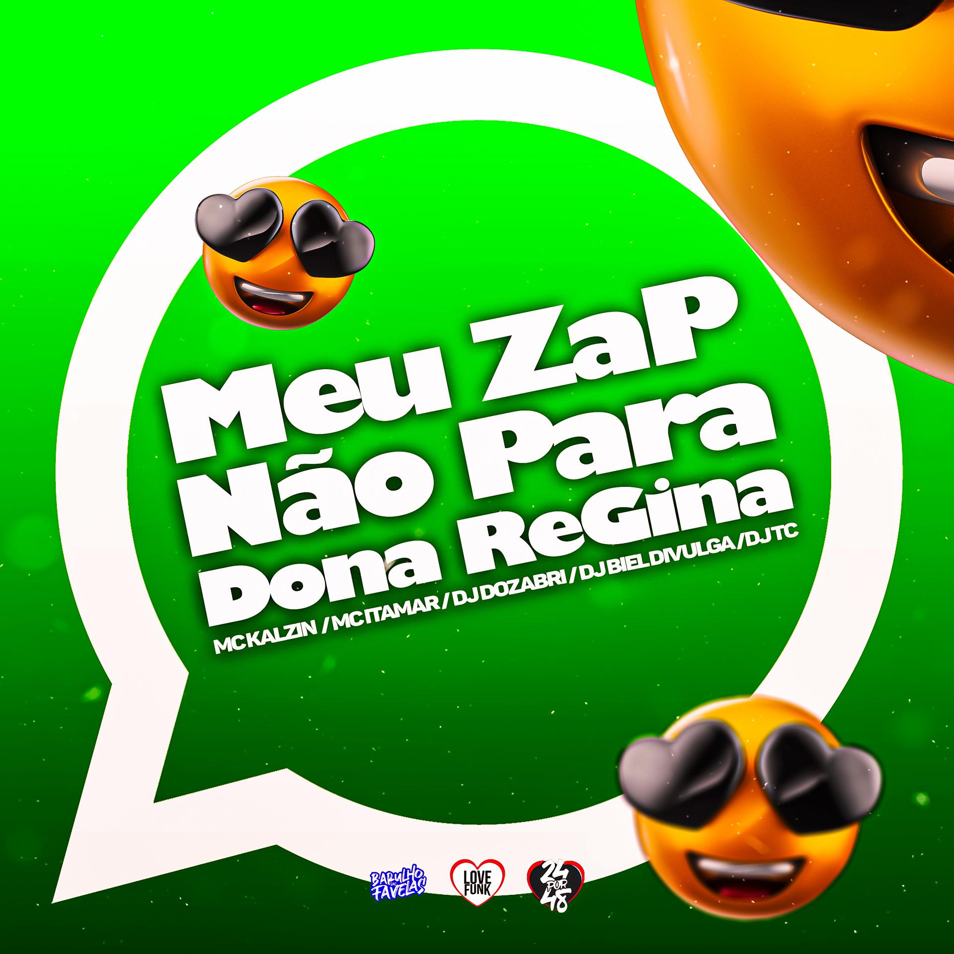 Постер альбома Meu Zap Não para - Dona Regina
