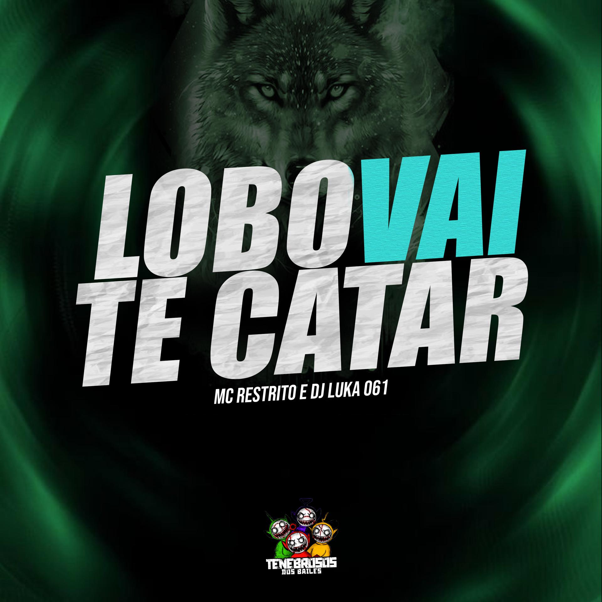Постер альбома Lobo Vai Te Catar