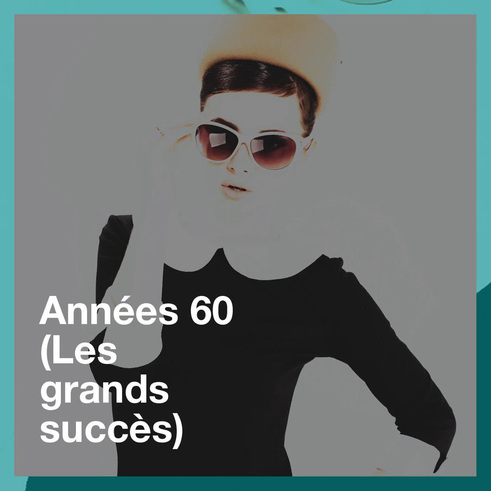 Постер альбома Années 60 (Les grands succès)