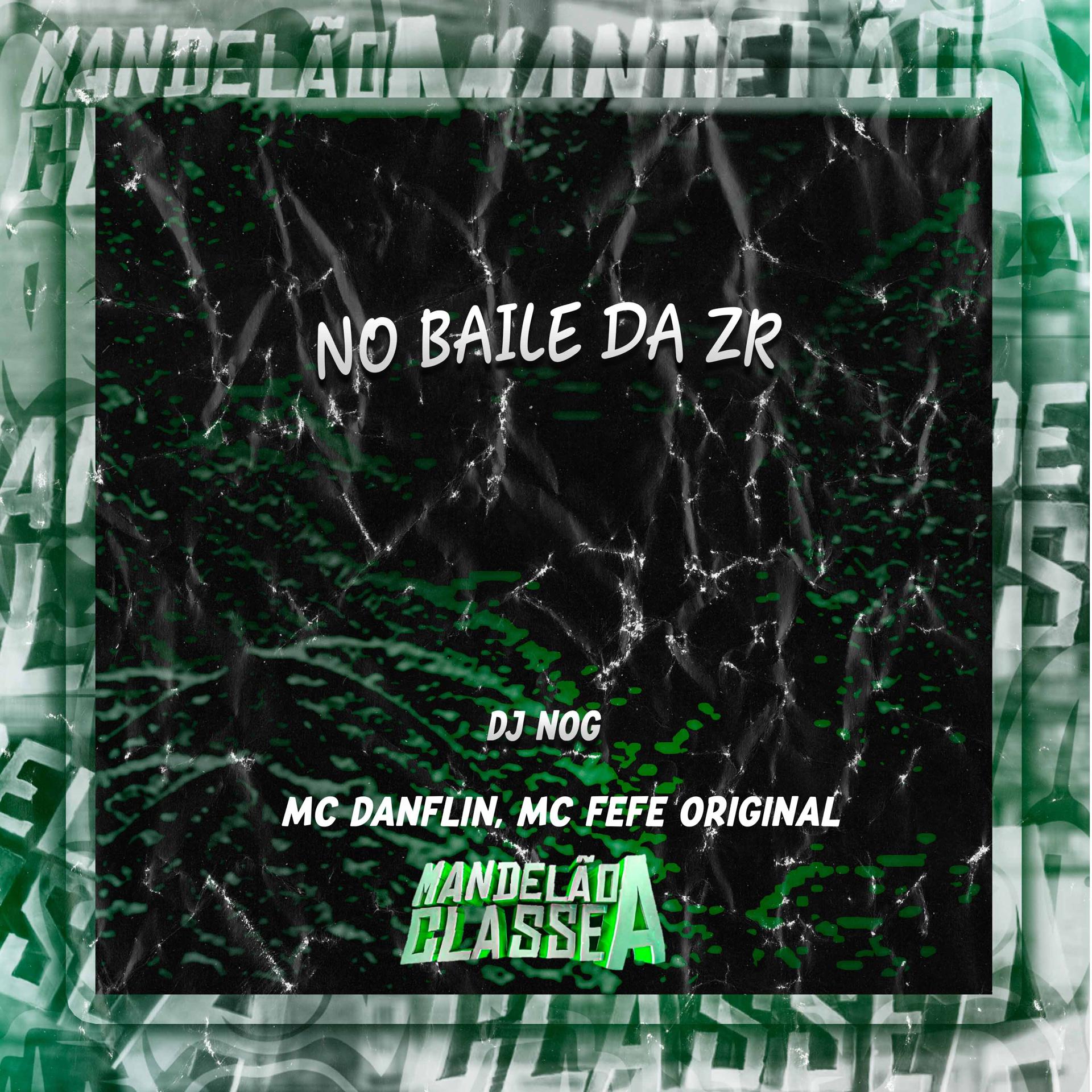 Постер альбома No Baile da Zr