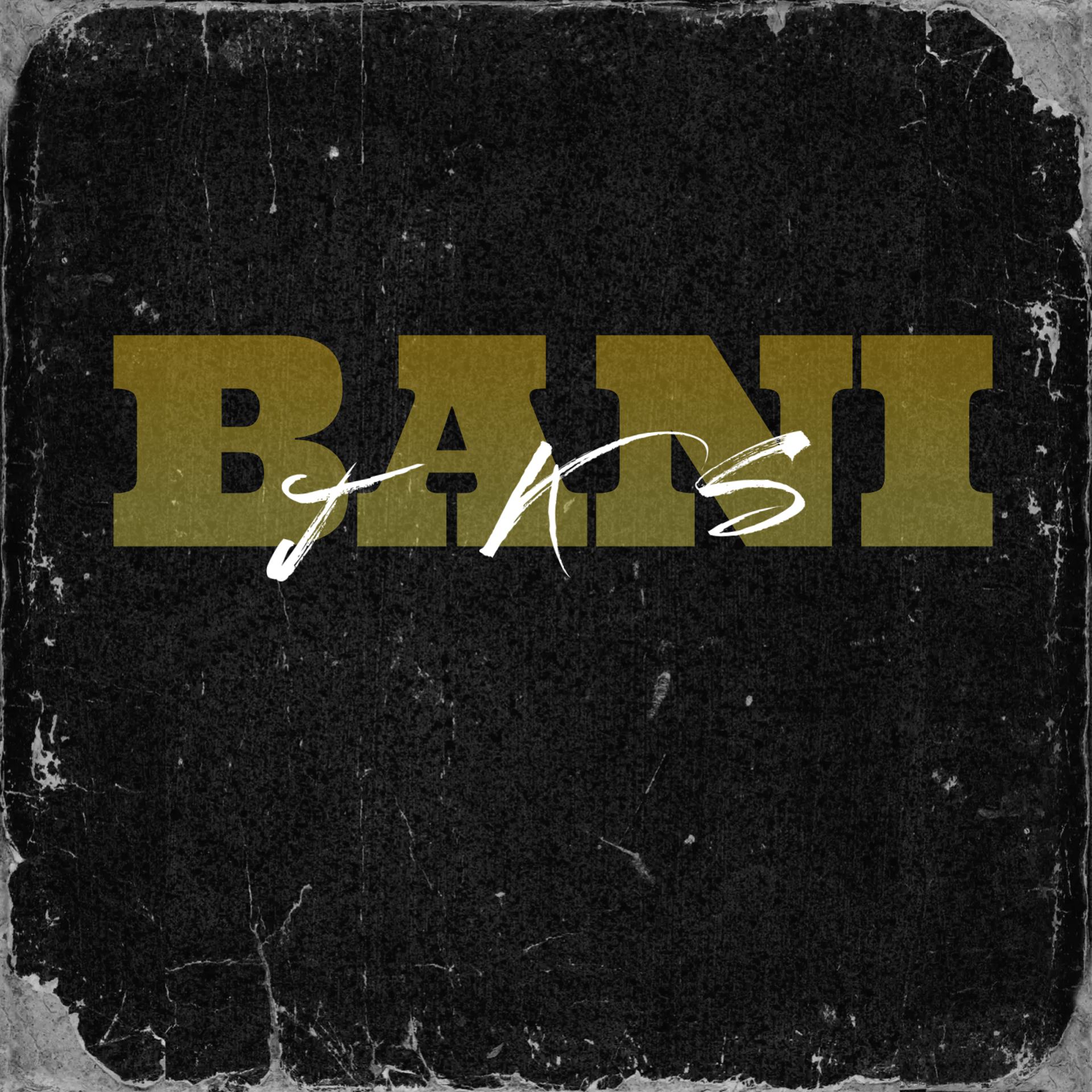 Постер альбома Bani