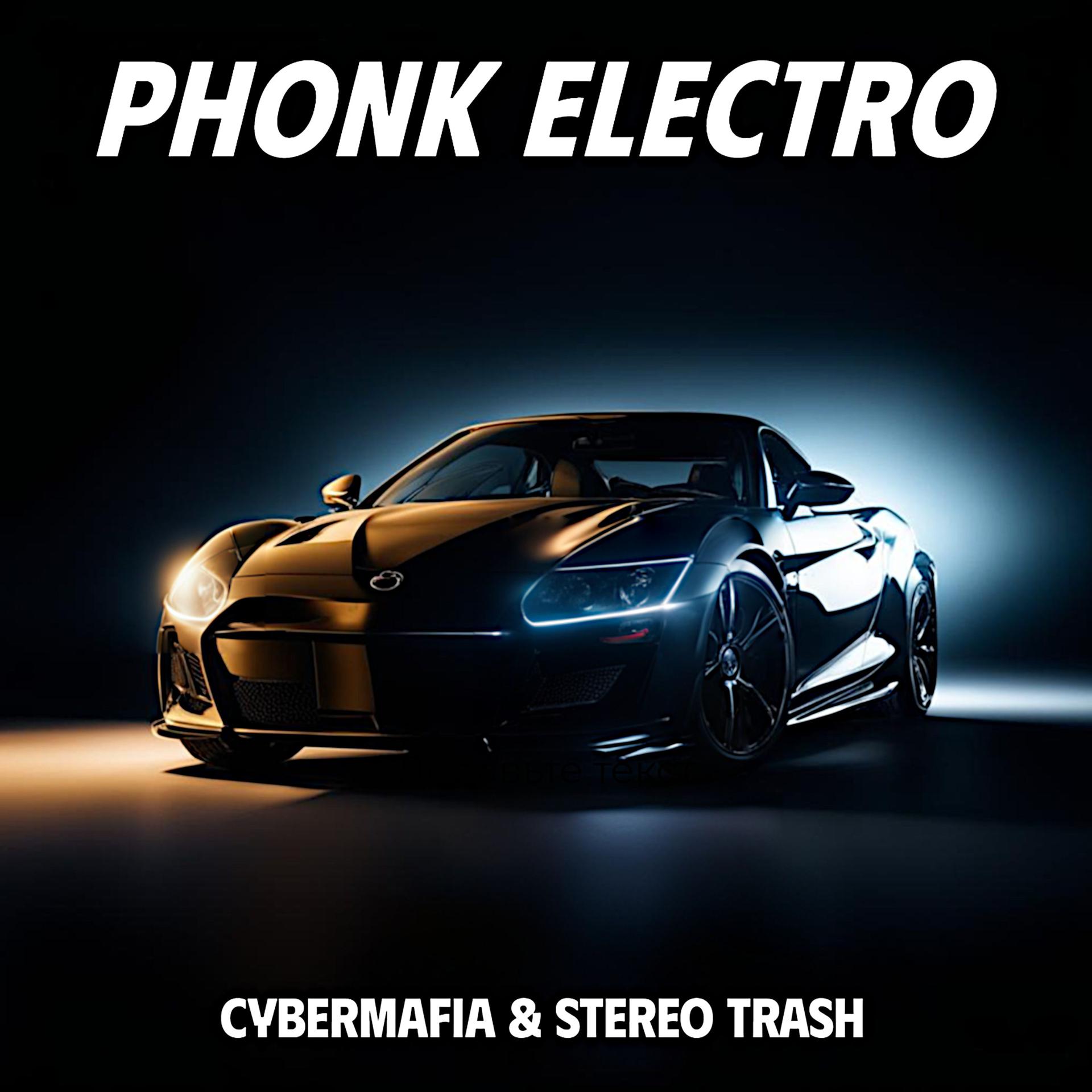 Постер альбома Phonk Electro