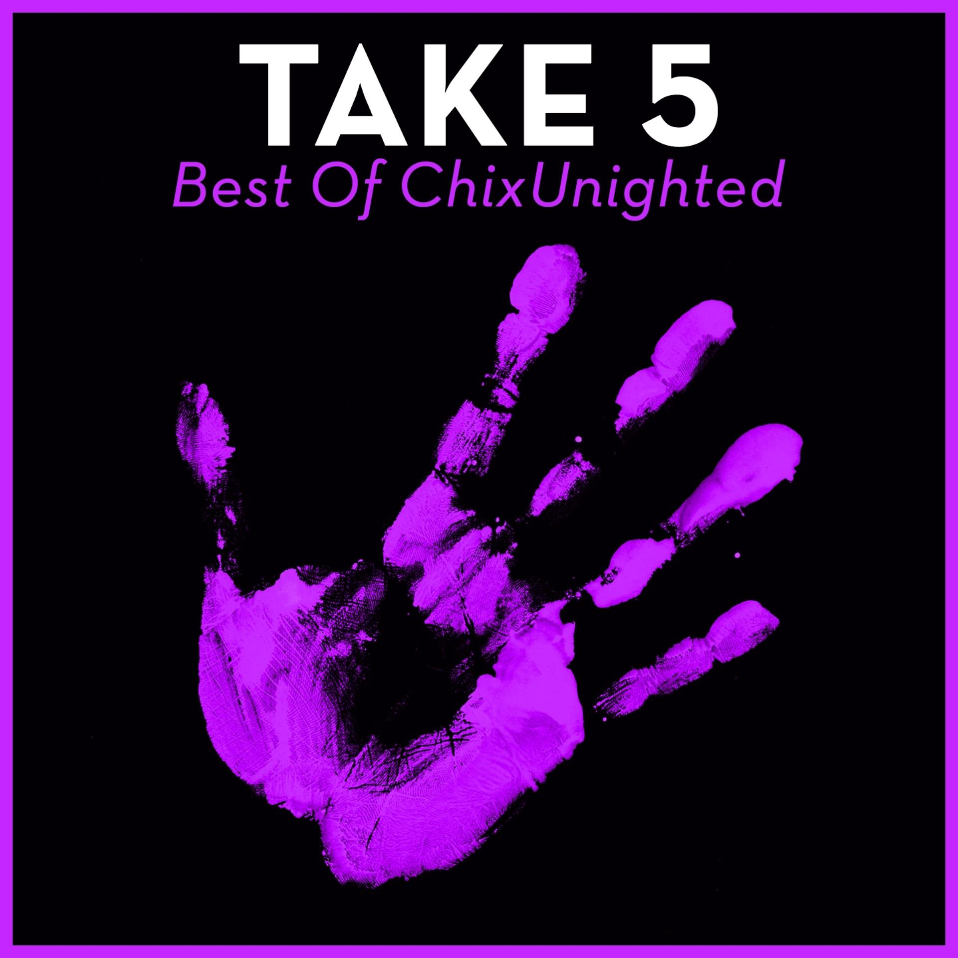 Постер альбома Take 5 - Best Of ChixUnighted
