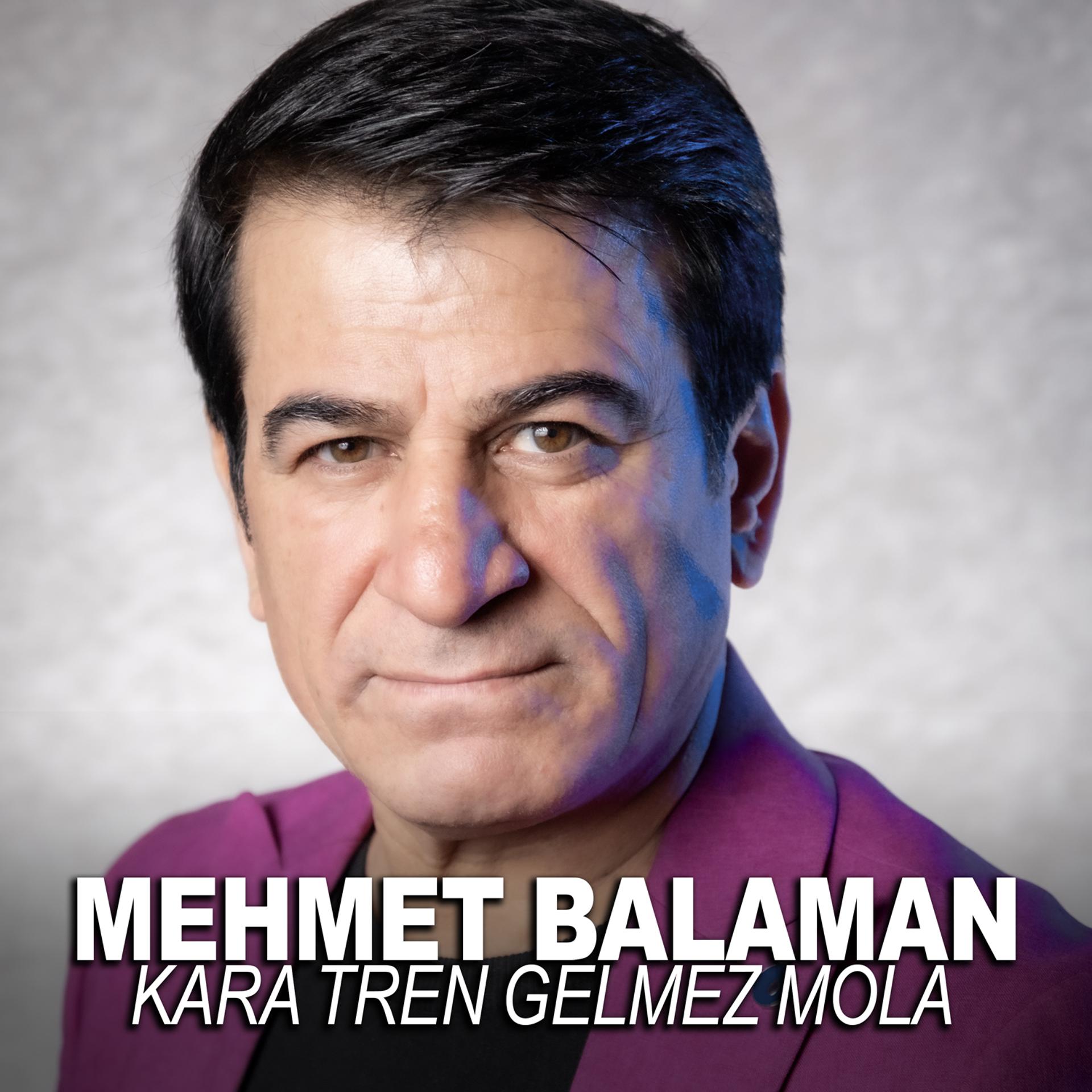 Постер альбома Kara Tren Gelmez Mola