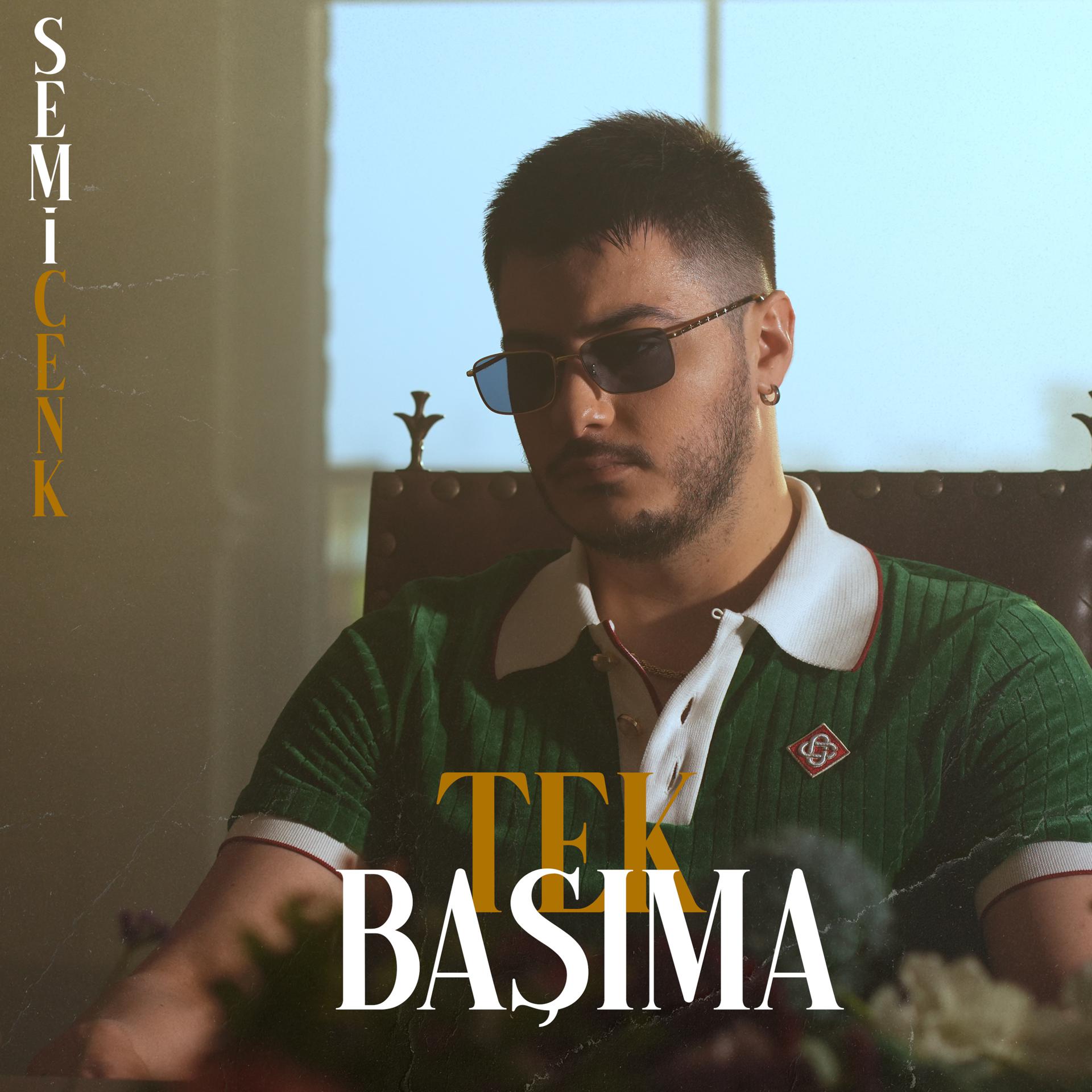Постер альбома Tek Başıma
