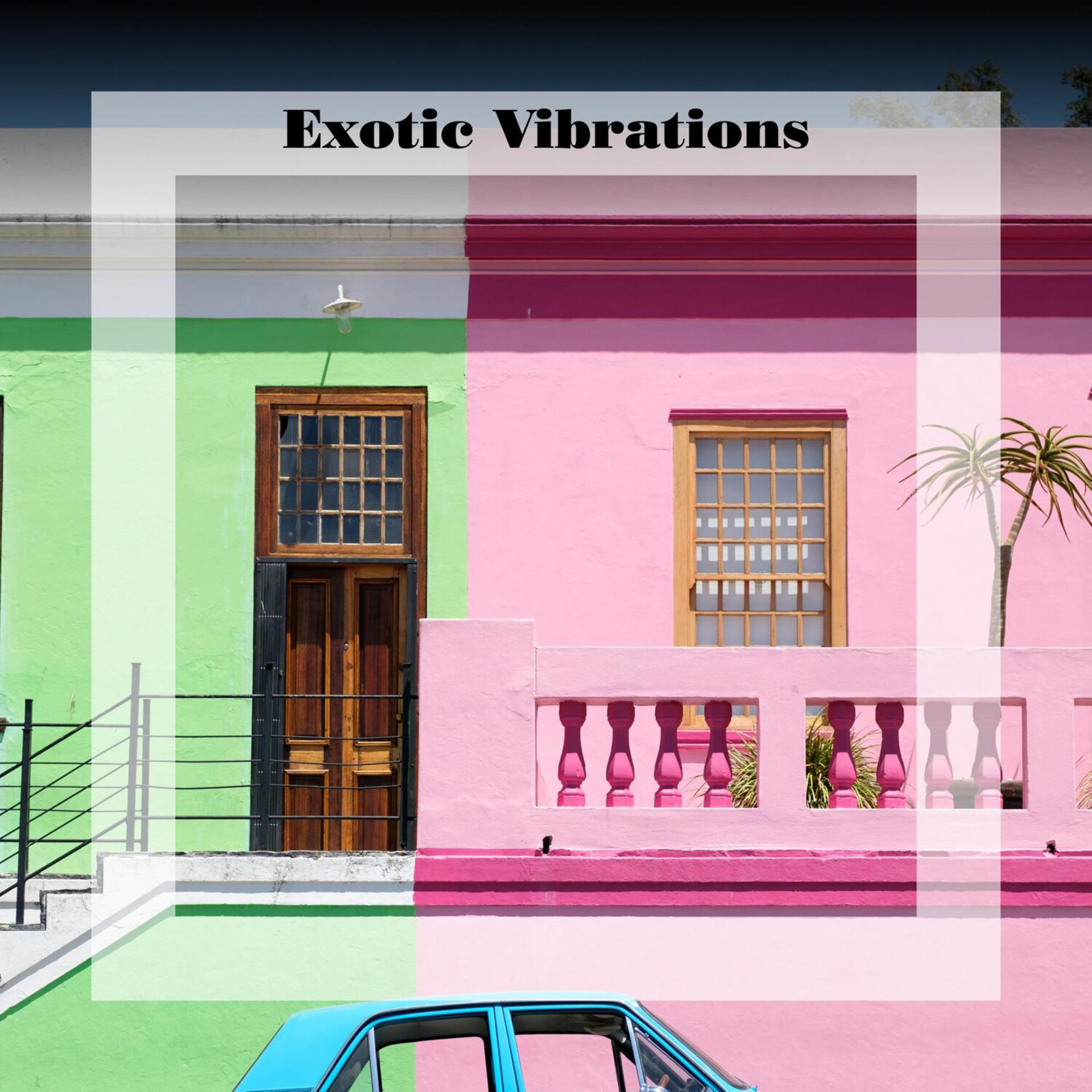 Постер альбома Exotic Vibrations
