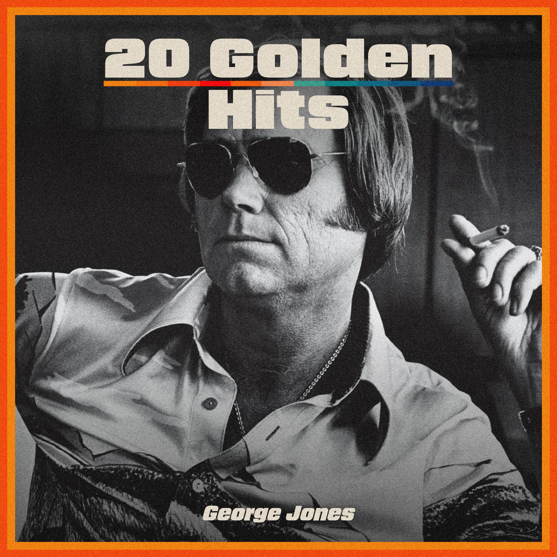 Постер альбома 20 Golden Hits