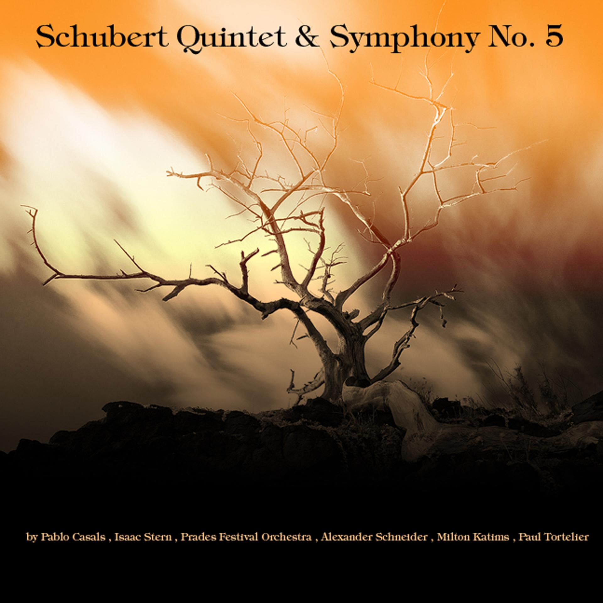 Постер альбома Schubert: String Quintet & Symphony No. 5