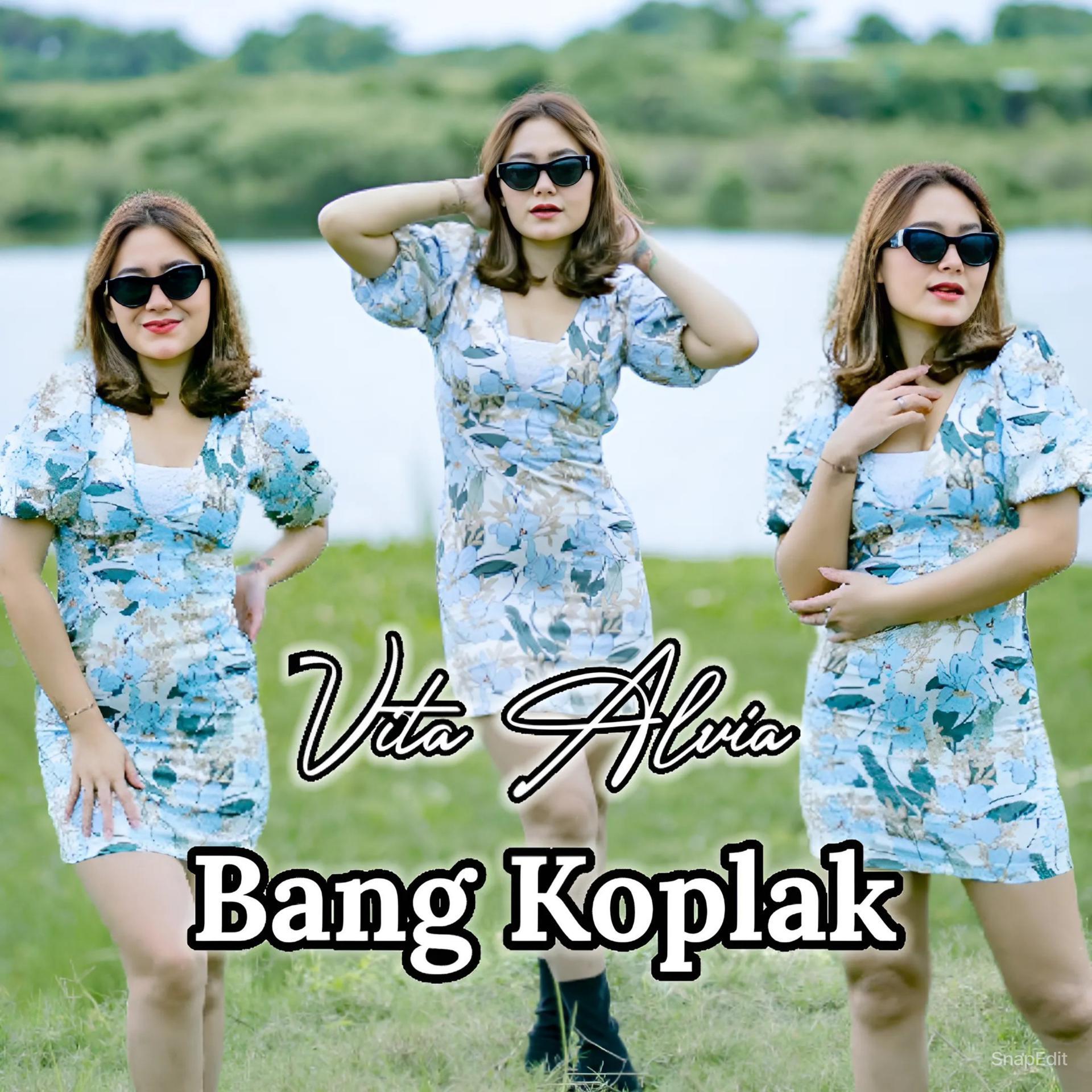Постер альбома Bang Koplak