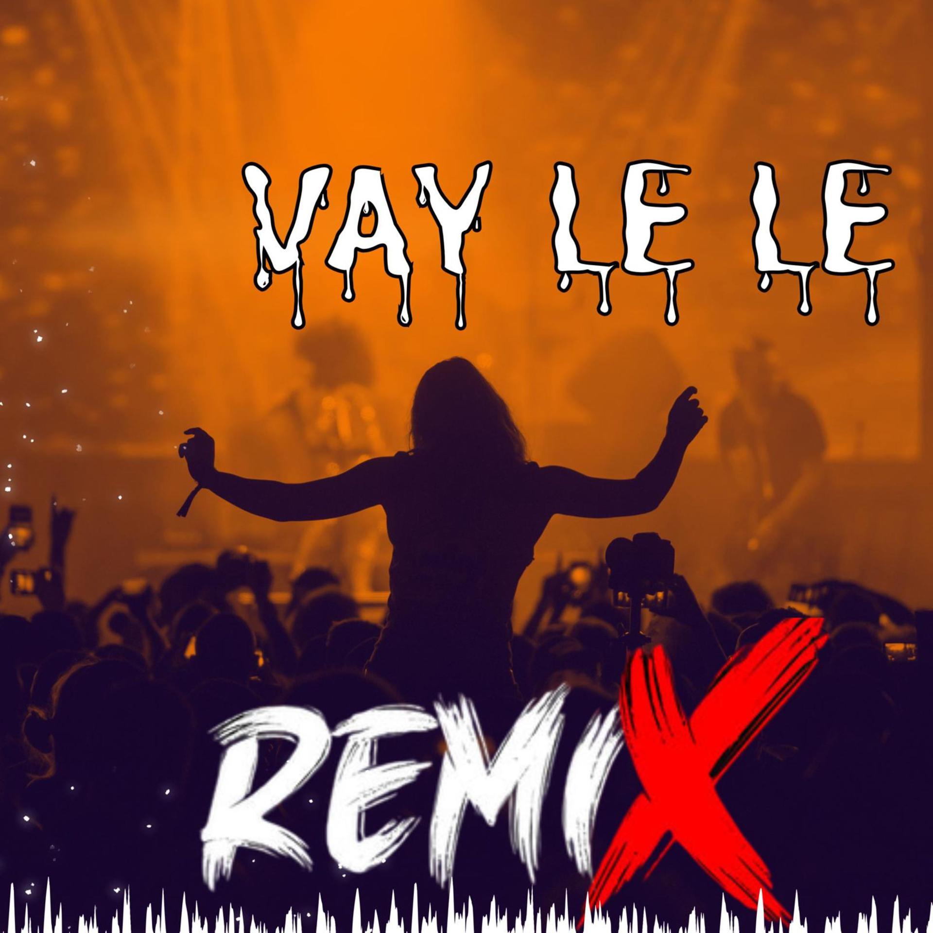 Постер альбома Vay Le Le