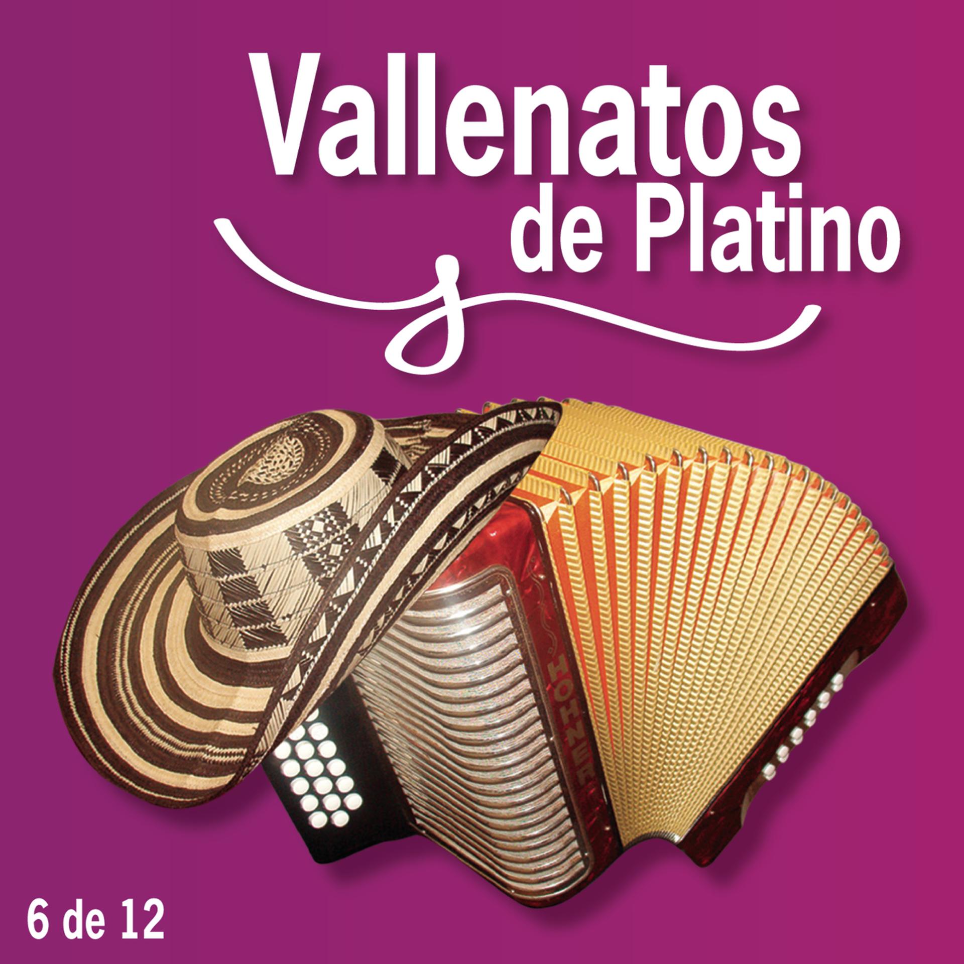 Постер альбома Vallenatos De Platino Vol. 6