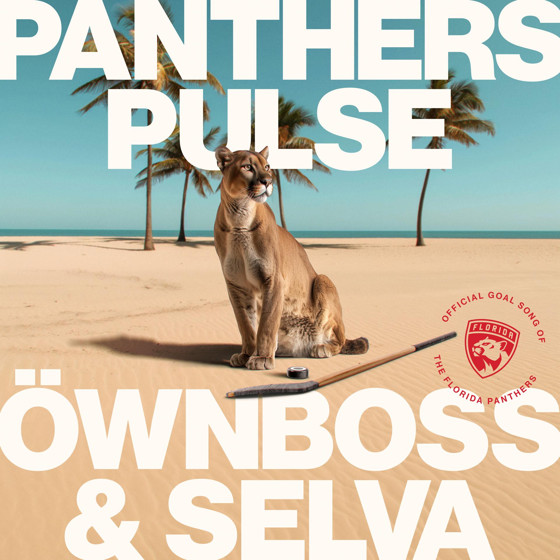 Постер альбома Panthers Pulse