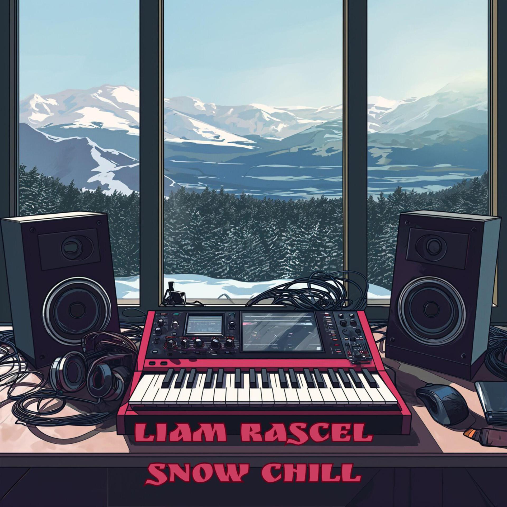 Постер альбома Snow Chill