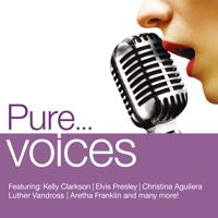 Постер альбома Pure... Voices
