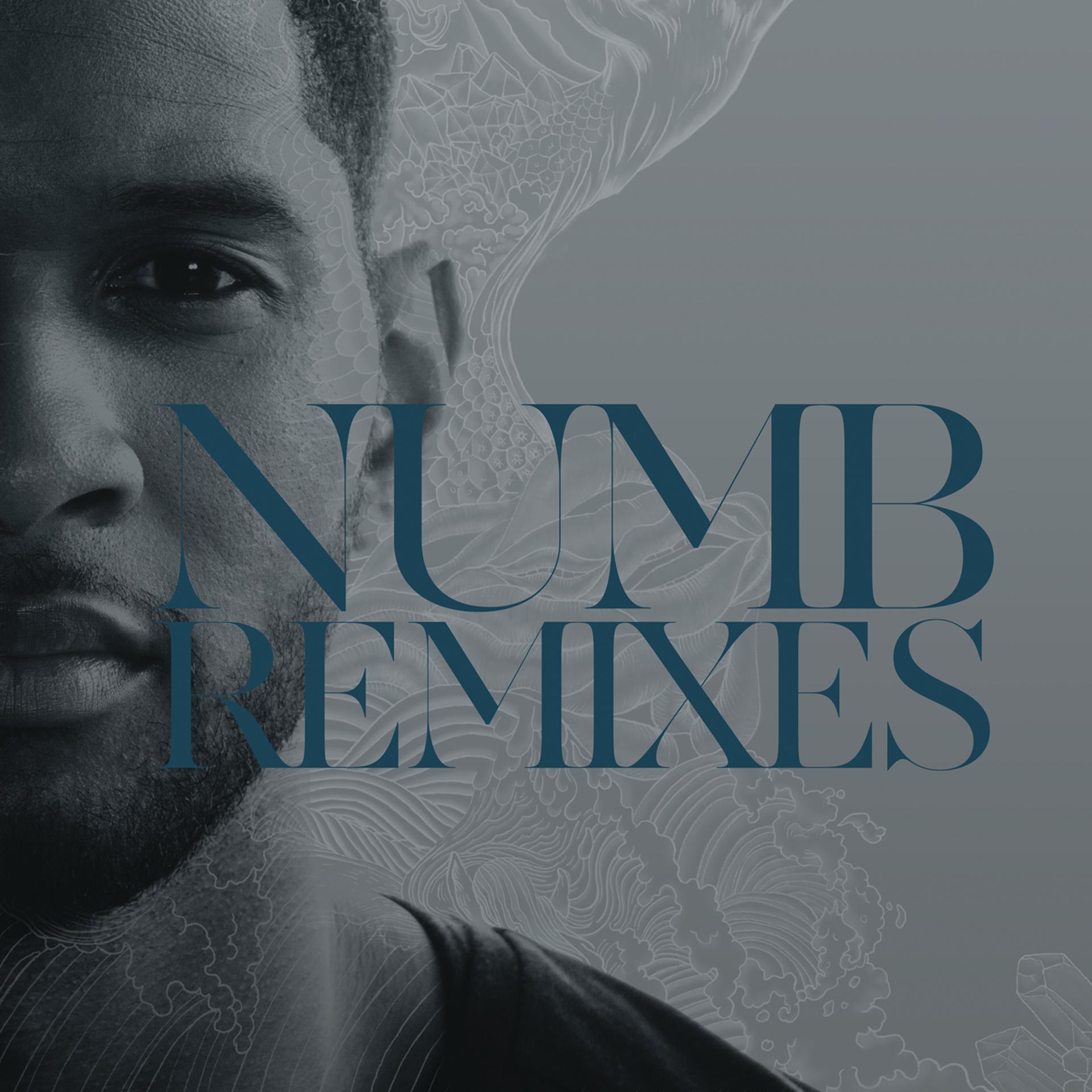 Постер альбома Numb Remixes