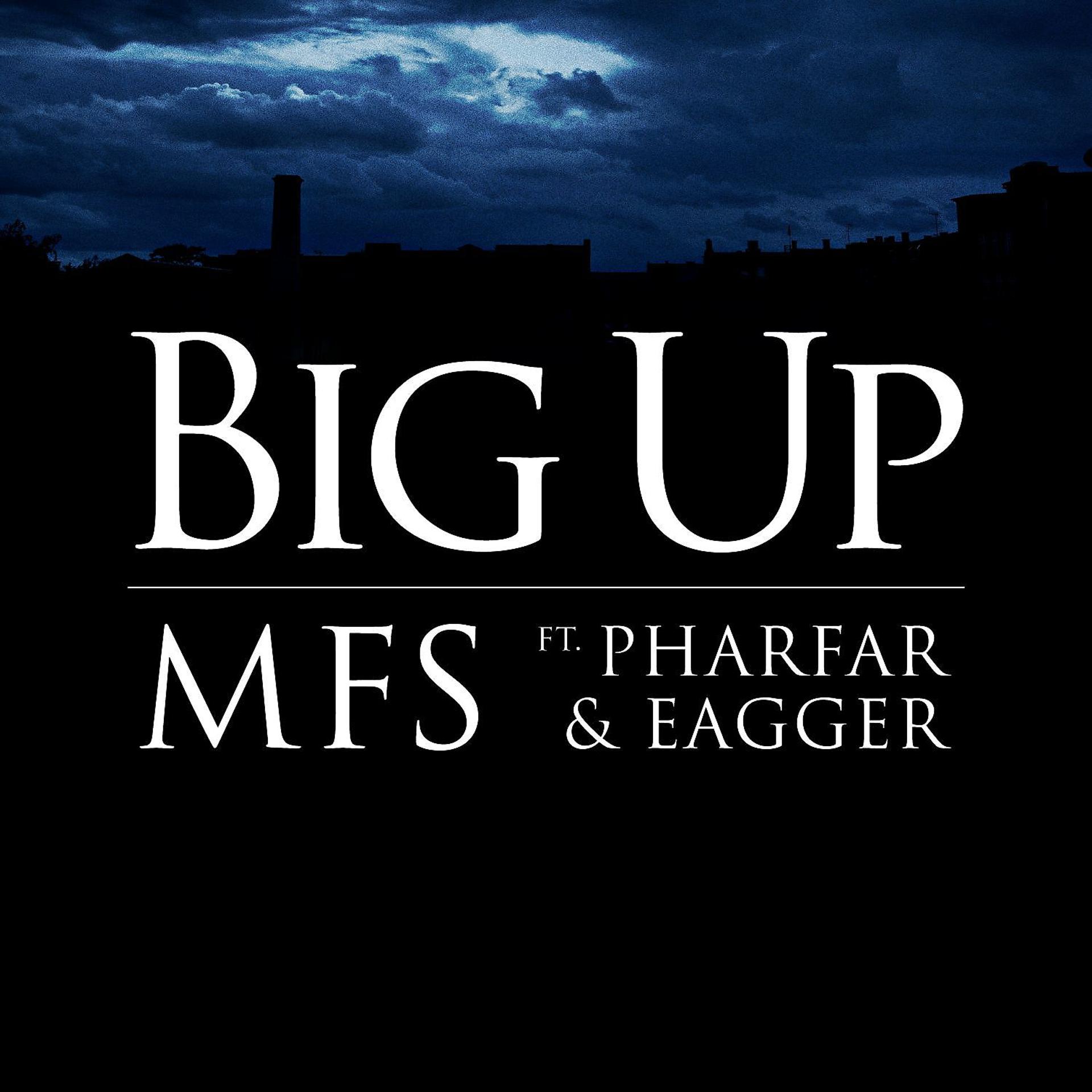 Постер альбома Big Up (feat. Pharfar & Eagger)