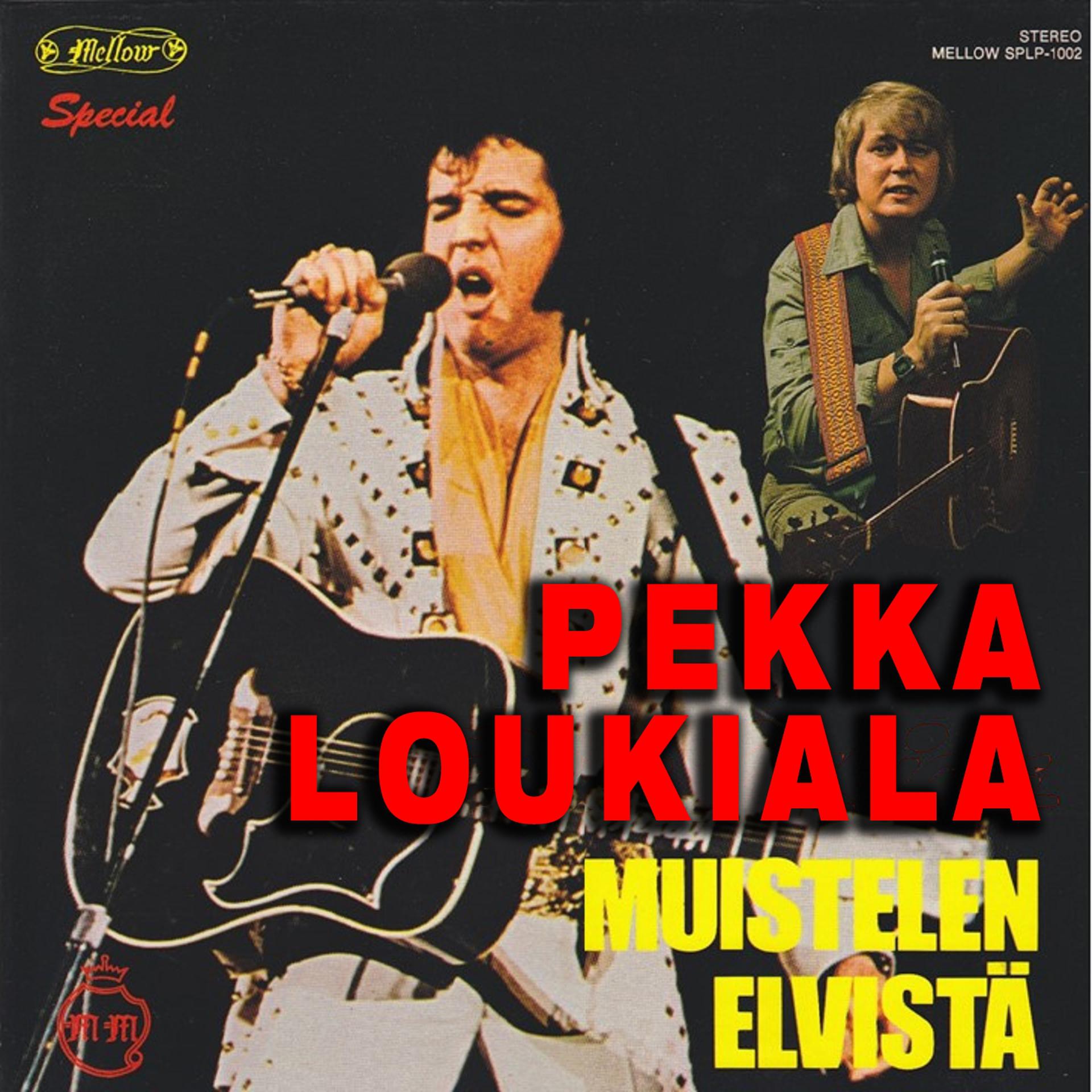 Постер альбома Muistelen Elvistä