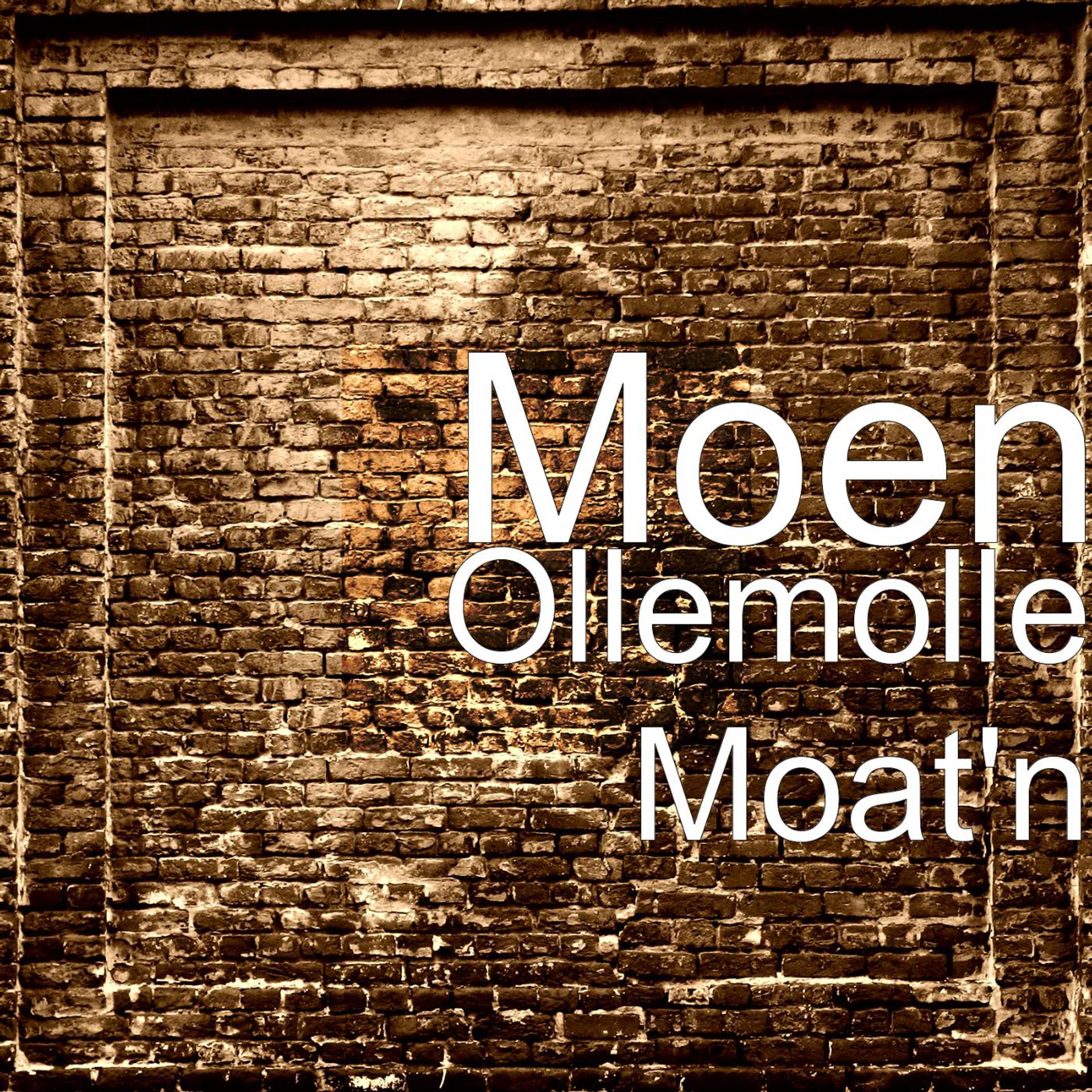 Постер альбома Ollemolle Moat'n