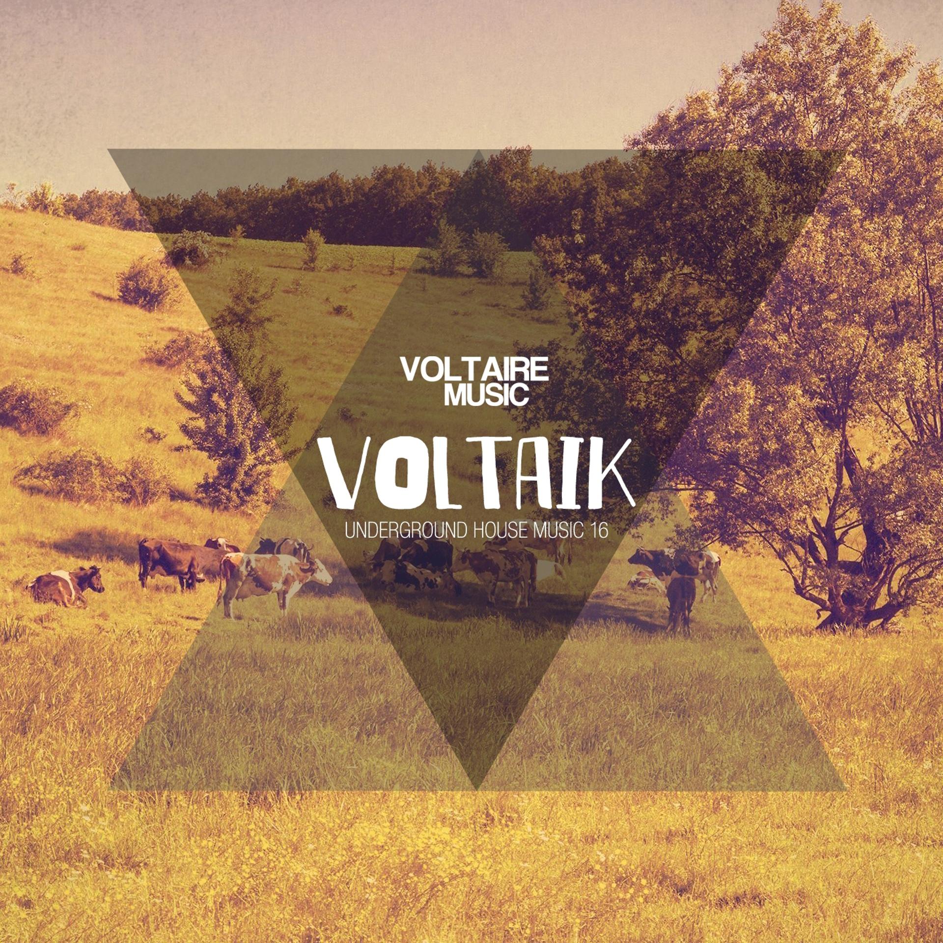 Постер альбома Voltaik #16