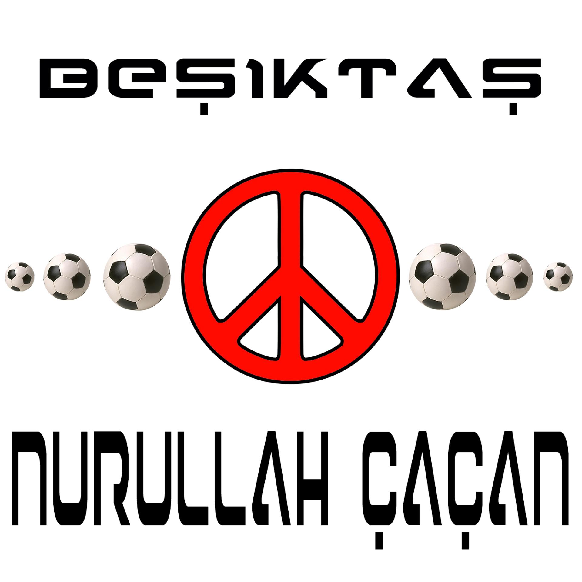 Постер альбома Beşiktaş