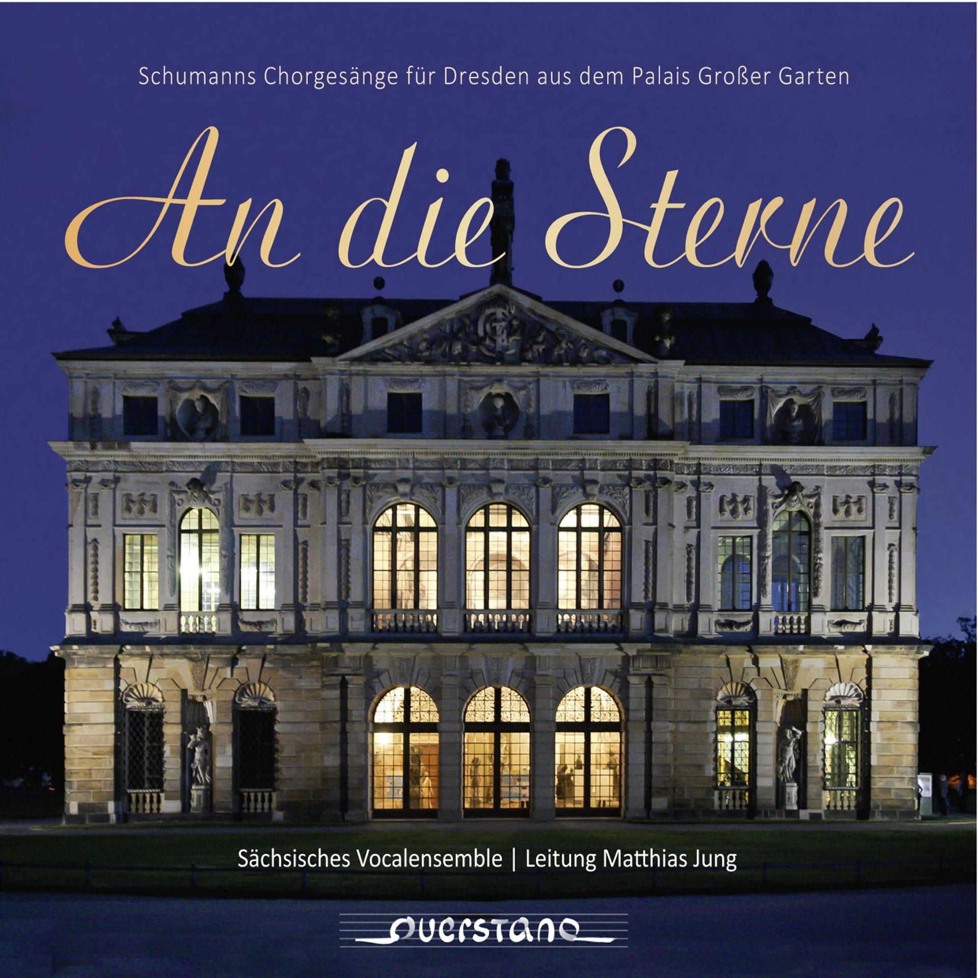 Постер альбома An die Sterne