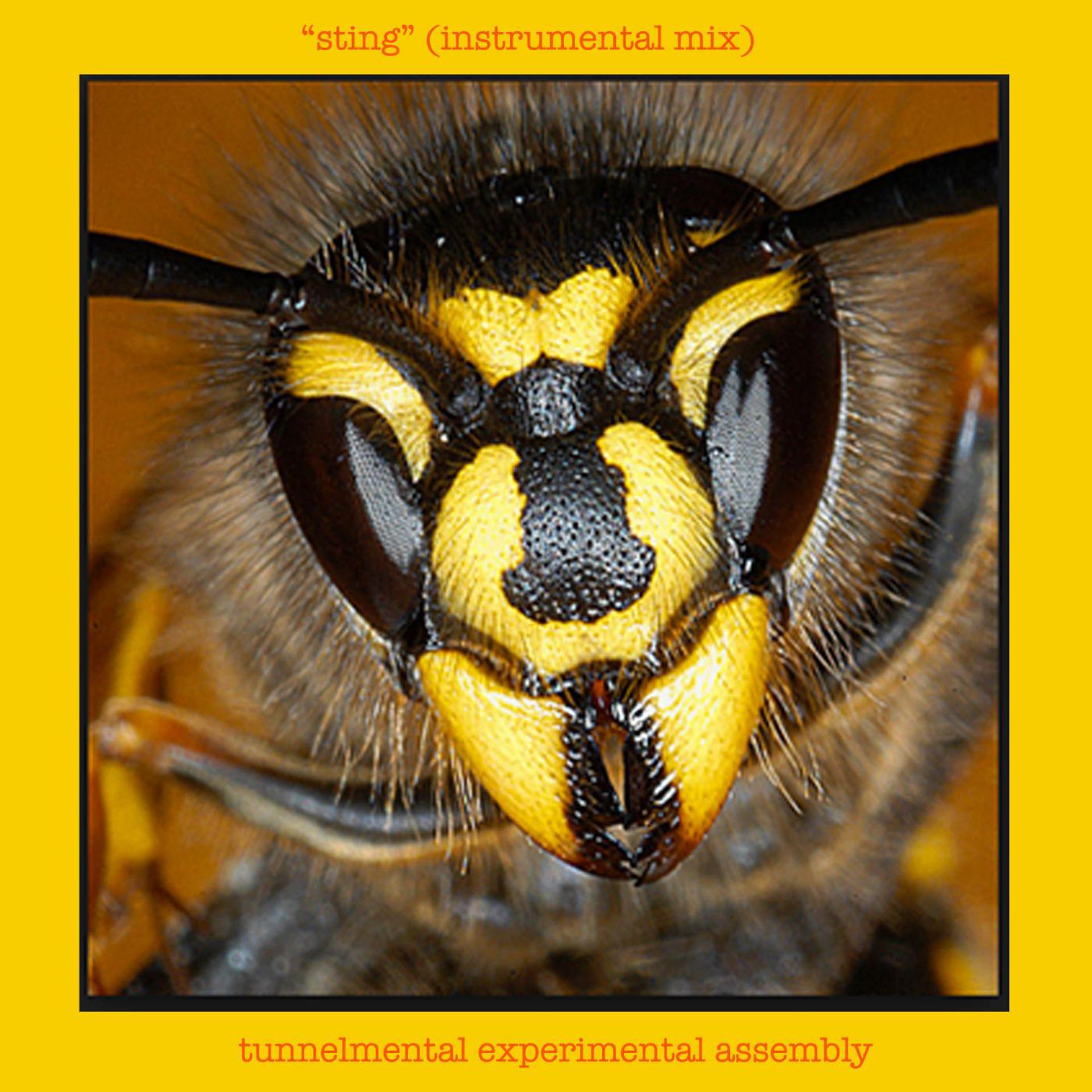 Постер альбома Sting (Instrumental Mix)