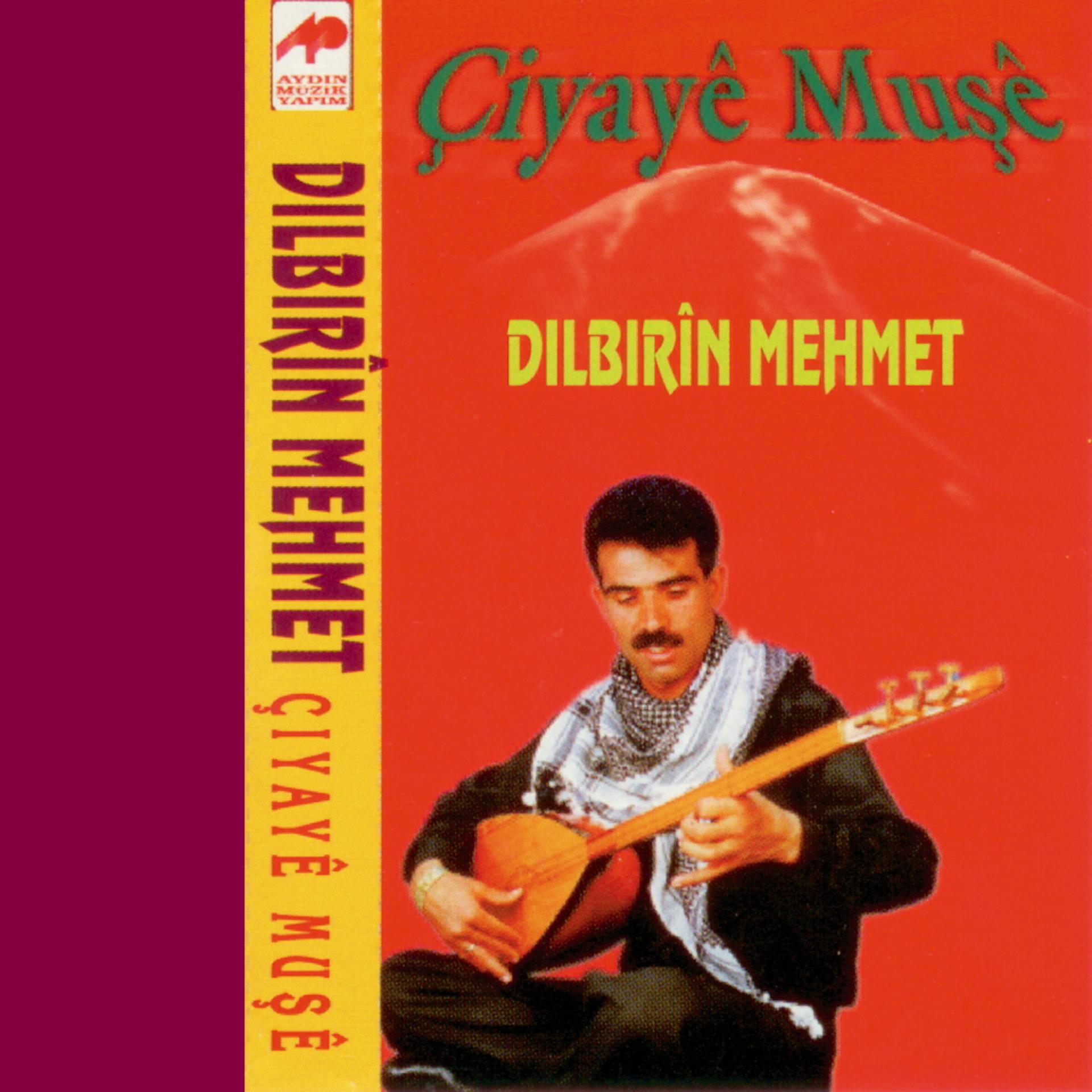 Постер альбома Çiyayê Muşê