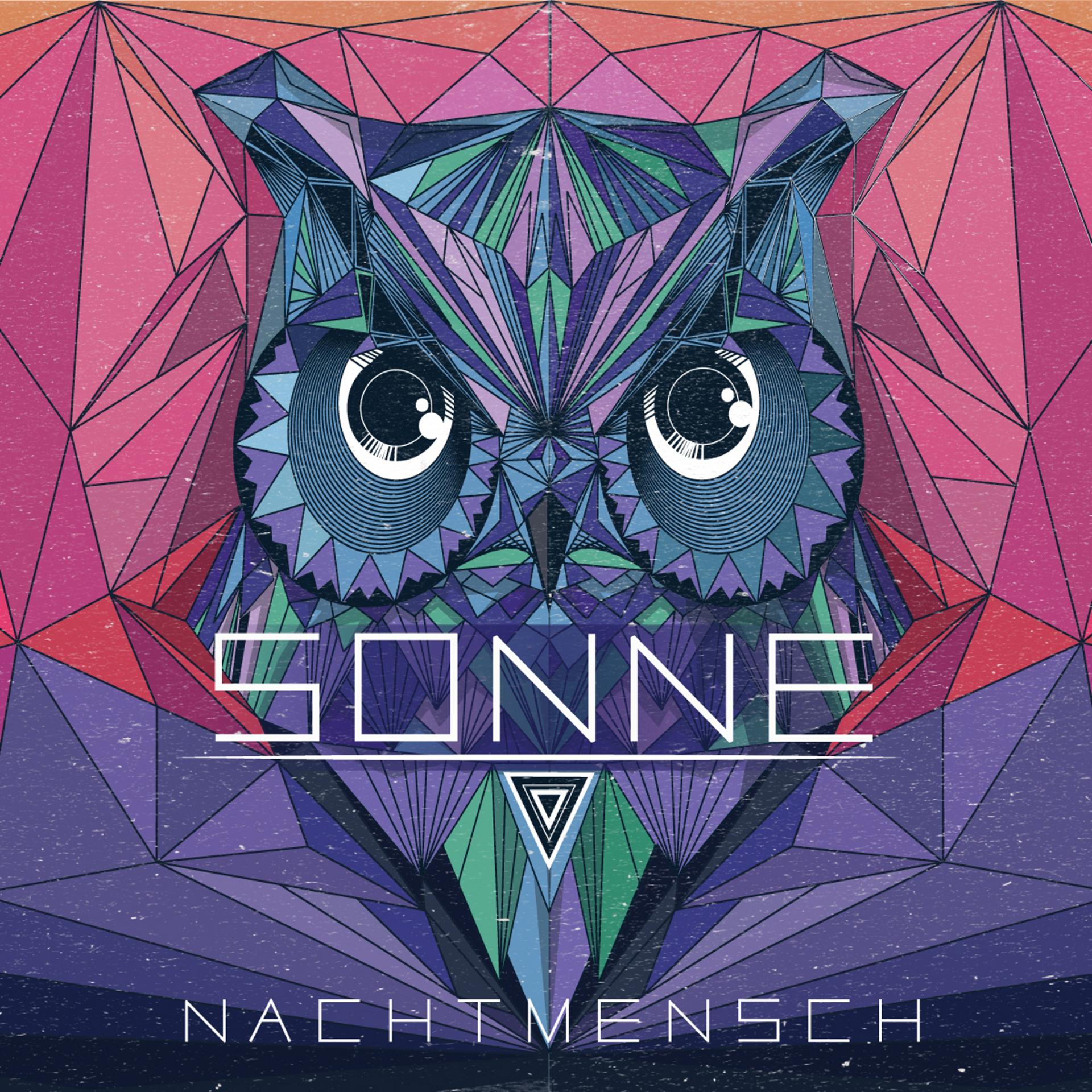 Постер альбома Sonne (Remixes)