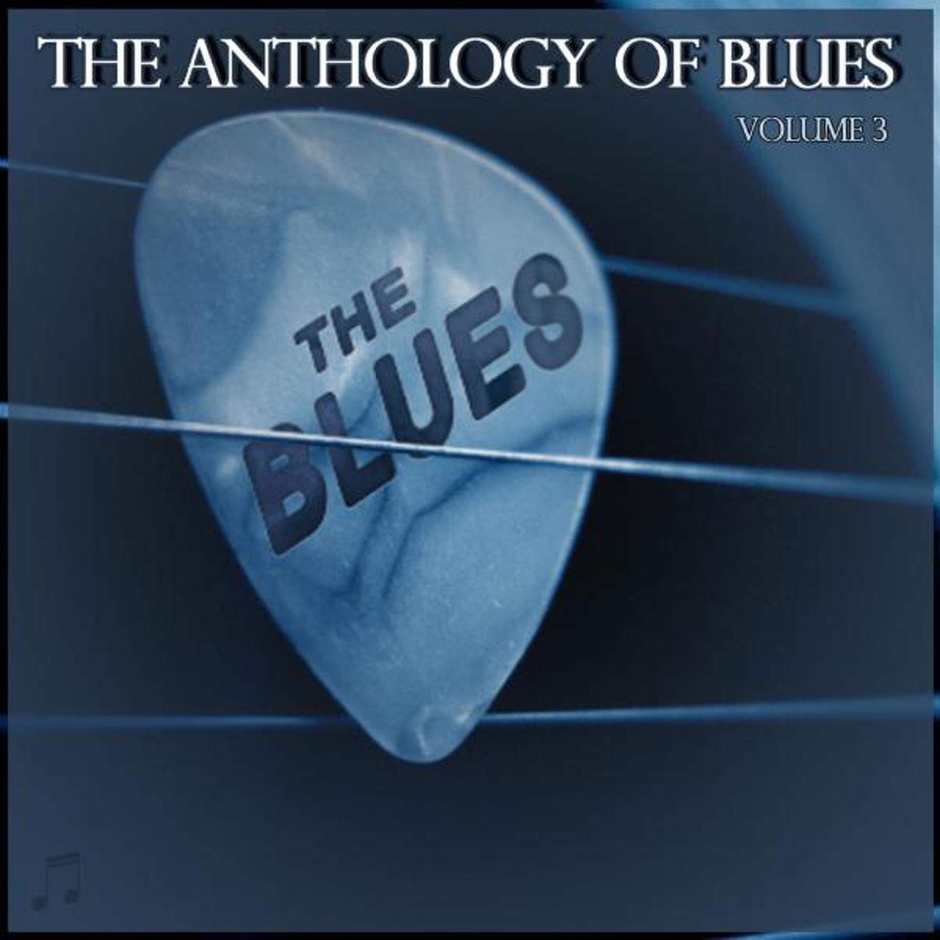Постер альбома Anthology of Blues, Vol. 3
