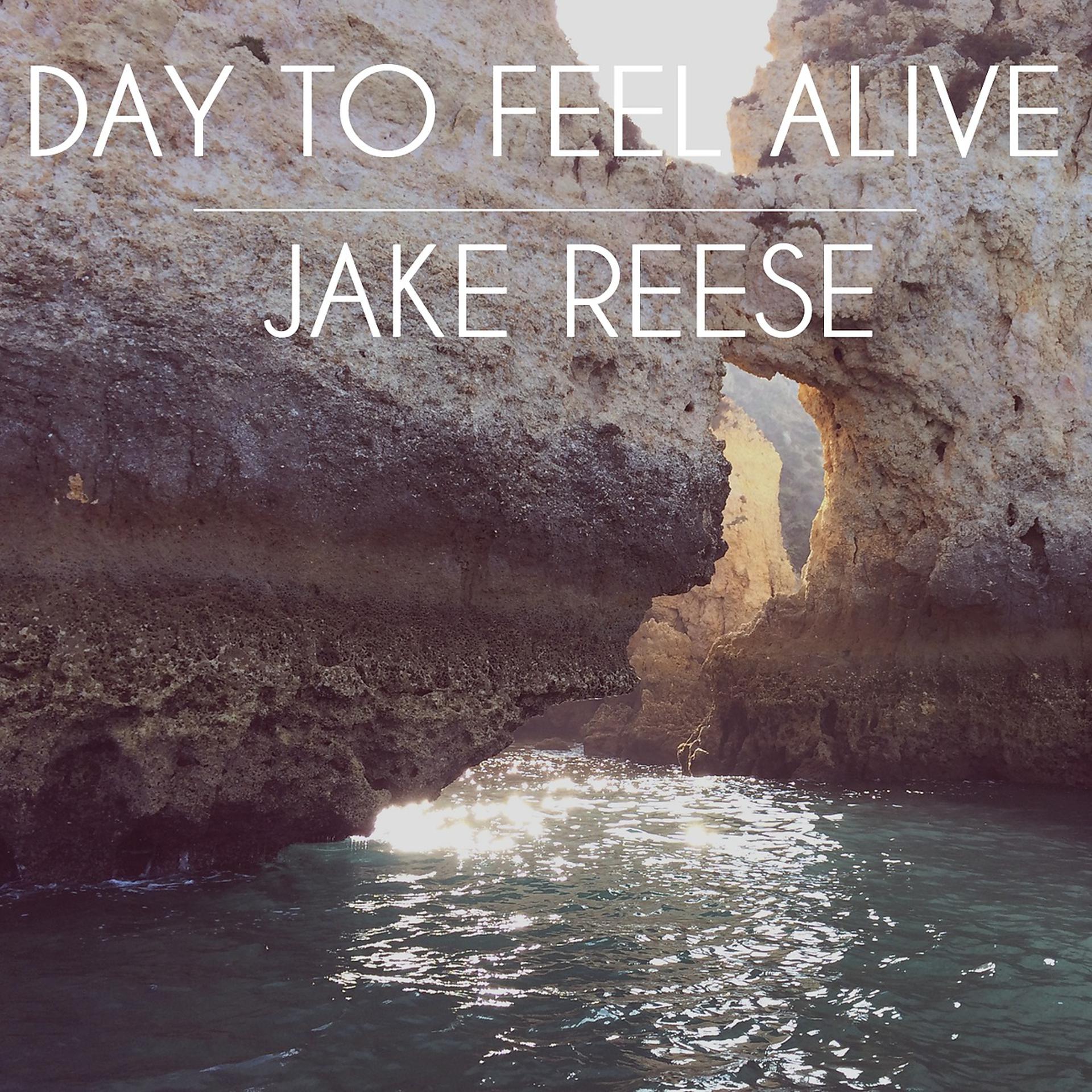 Постер альбома Day To Feel Alive