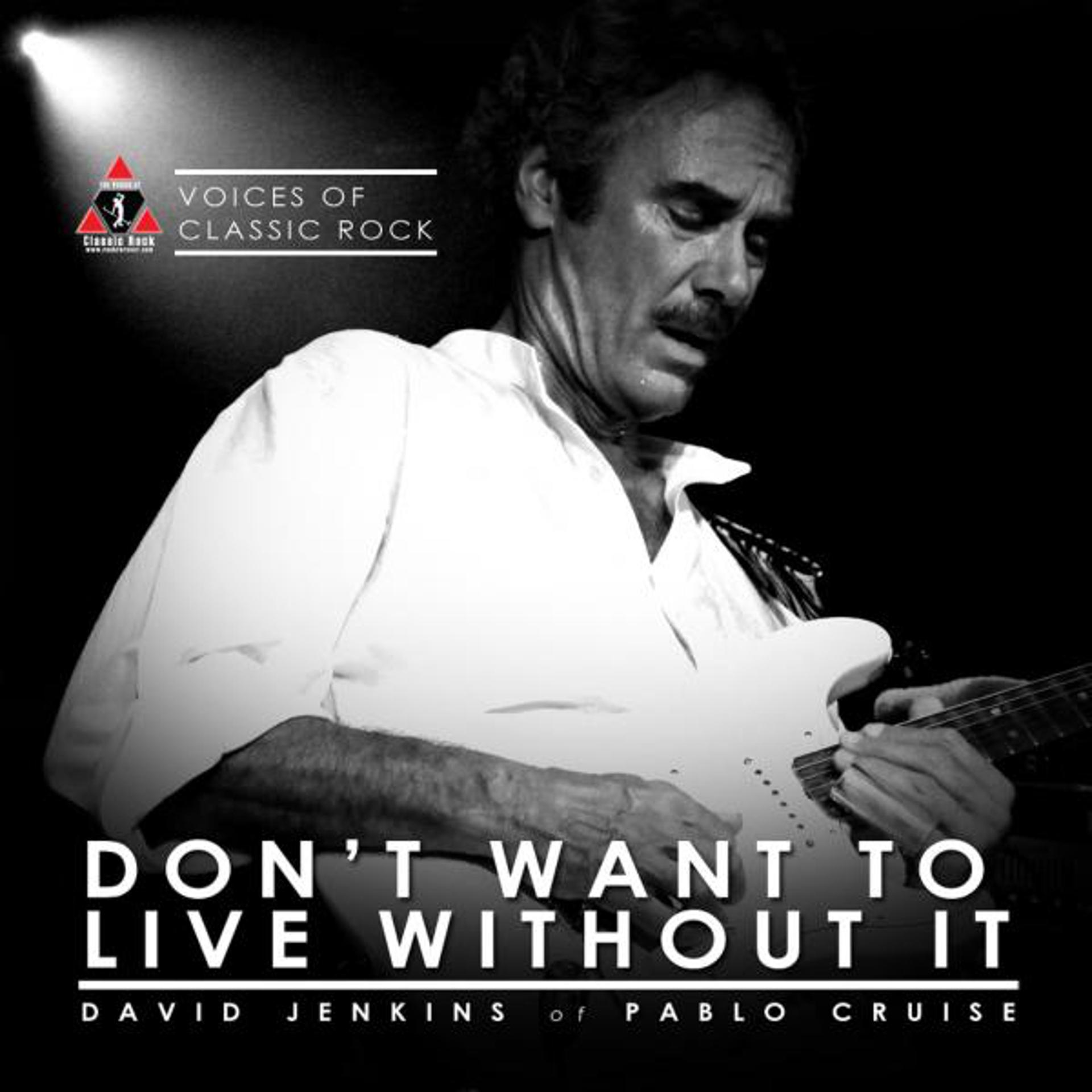 Постер альбома Don't Want To Live Without It (feat. David Jenkins)