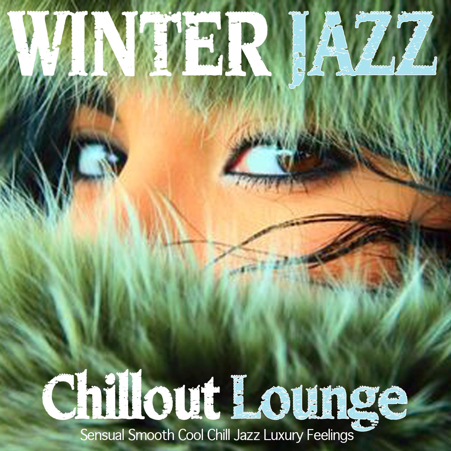 Постер альбома Winter Jazz Lounge Chillout