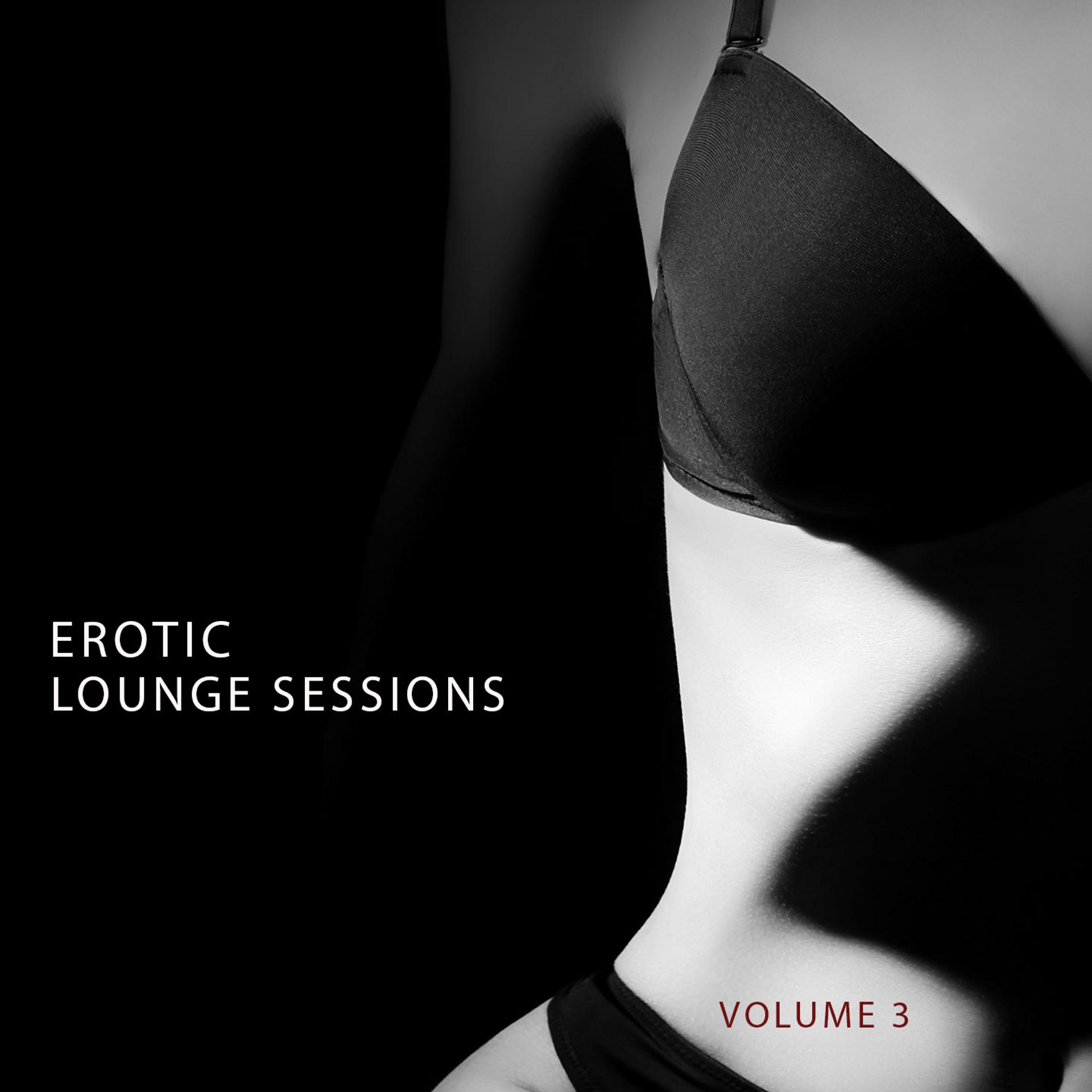 Постер альбома Erotic Lounge Session, Vol. 3