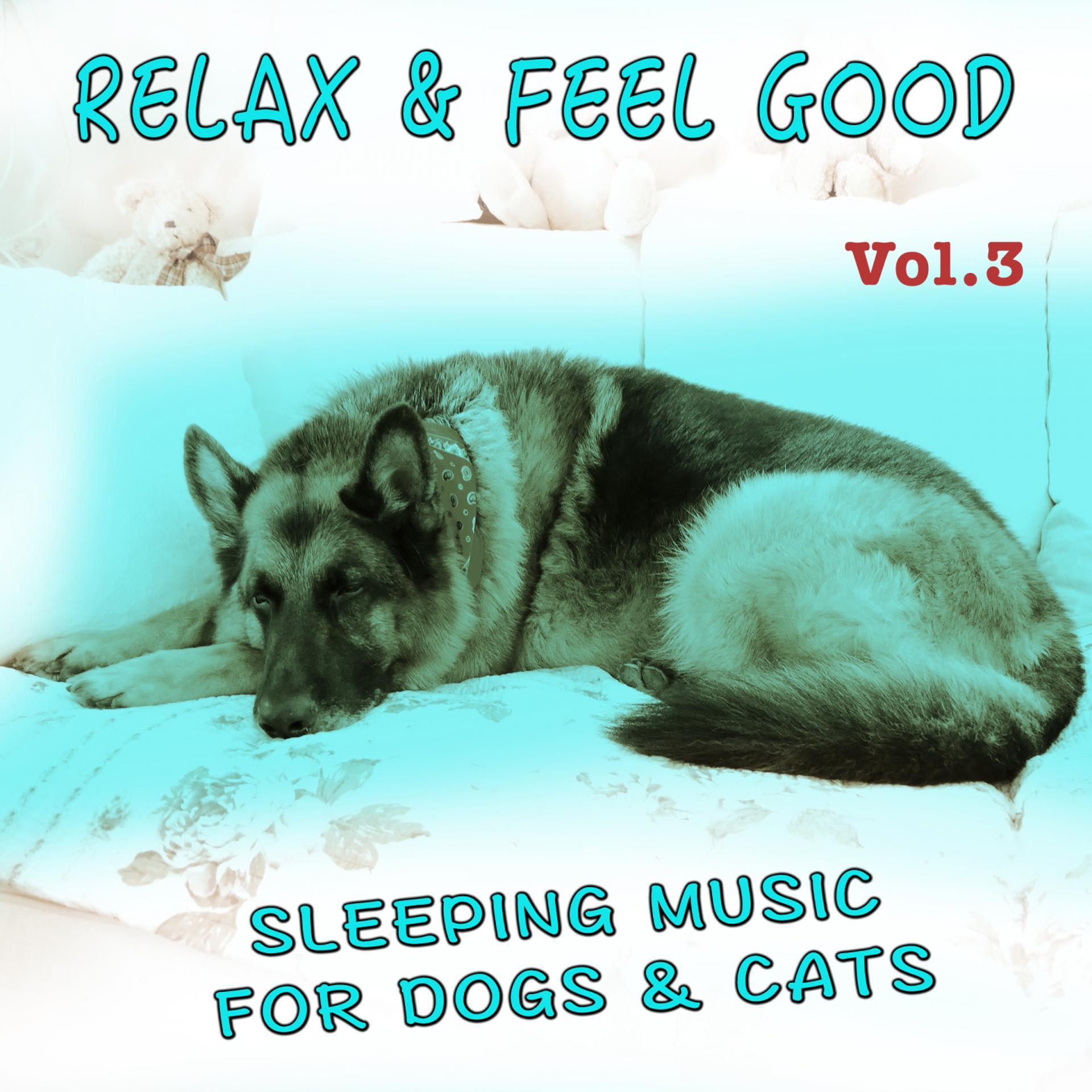 Постер альбома Relax and Feel Good, Vol. 3