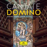 Постер альбома Cantate Domino - La Cappella Sistina e la musica dei Papi