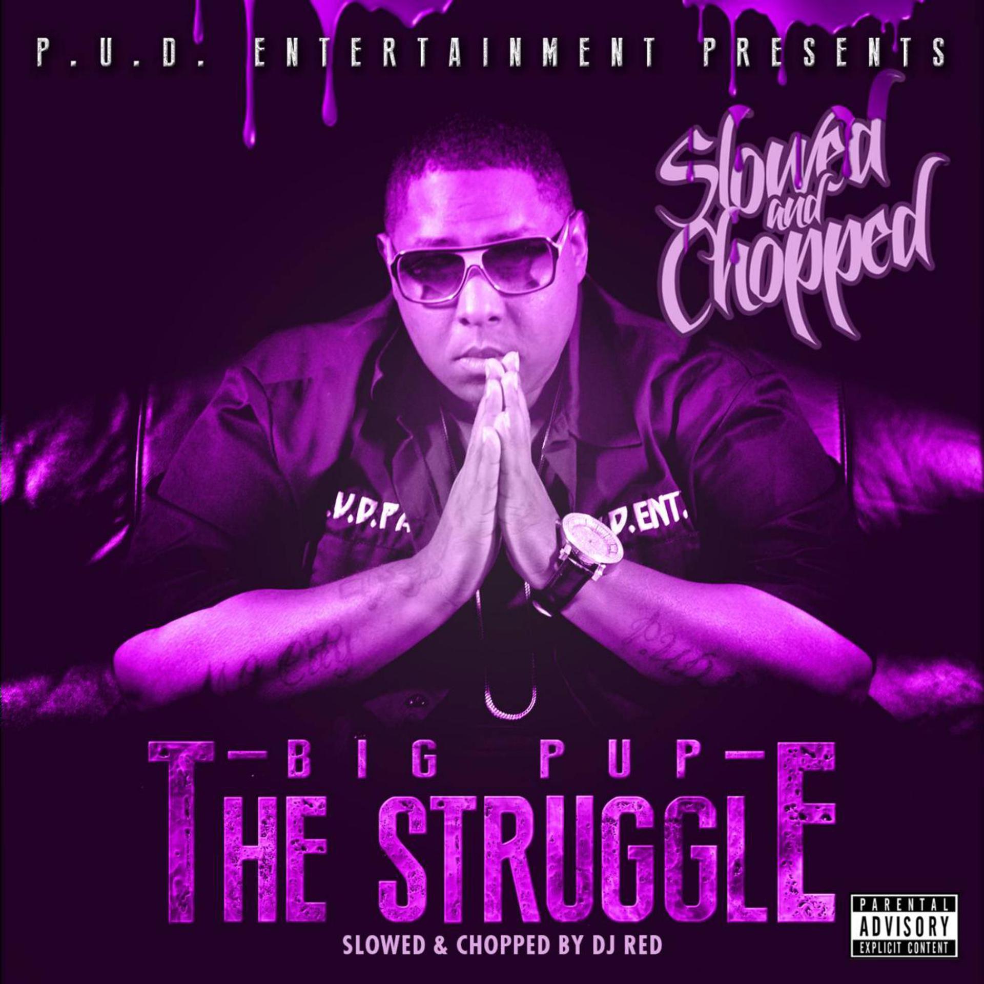 Постер альбома The Struggle (Slowed & Chopped)