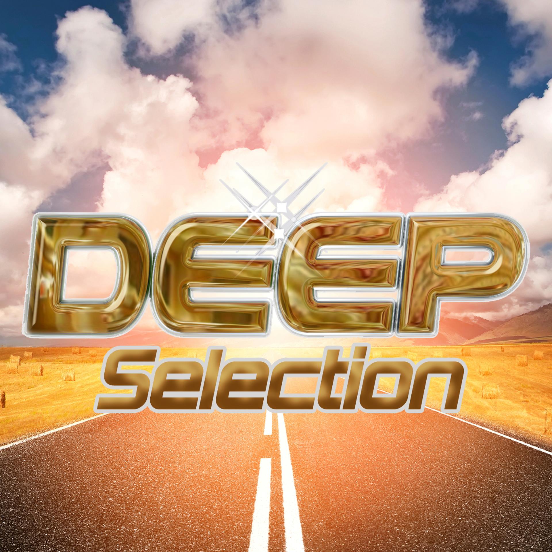 Постер альбома Deep Selection 2016