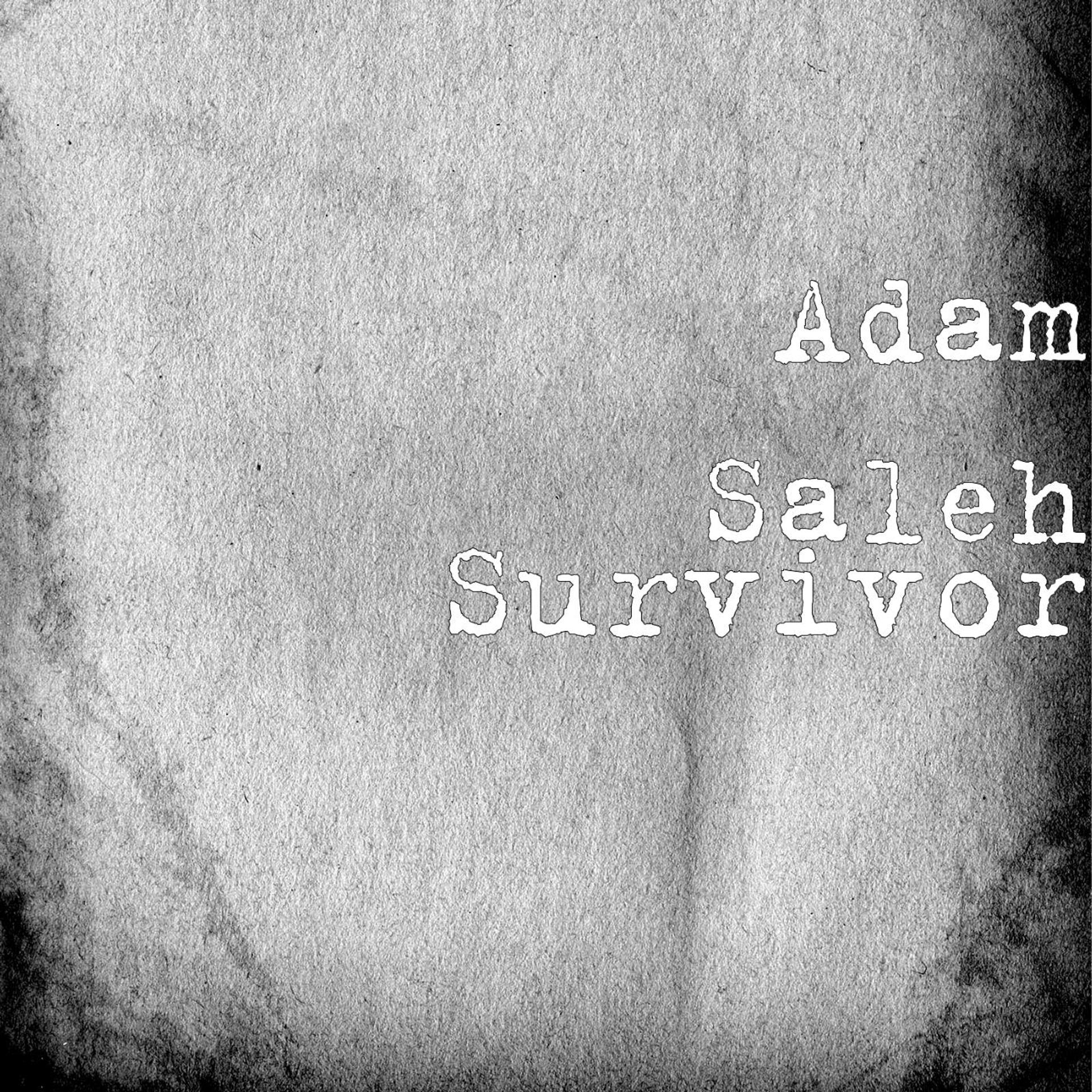 Постер альбома Survivor