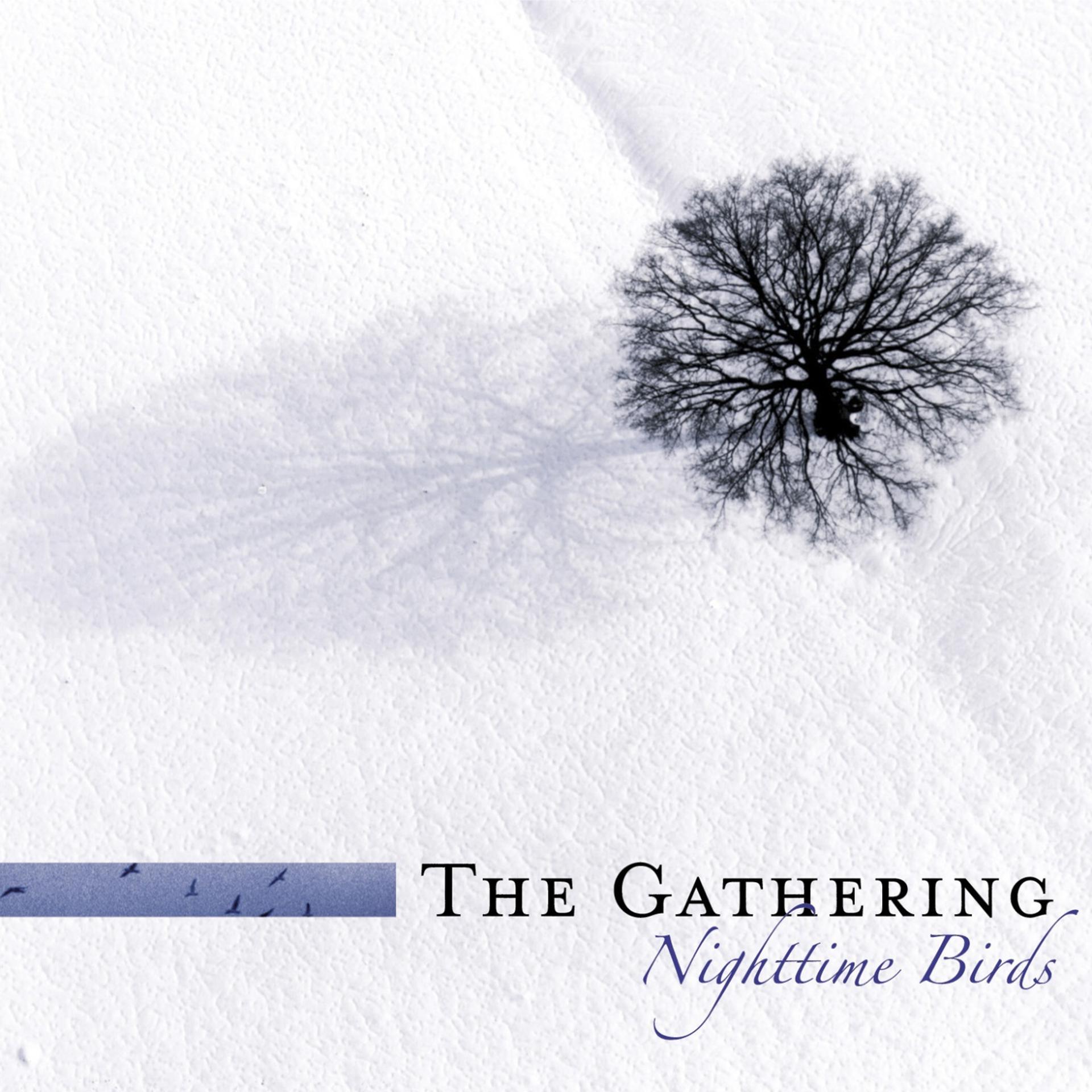 Постер альбома Nighttime Birds (Re-issue 2007 incl. Bonus tracks)