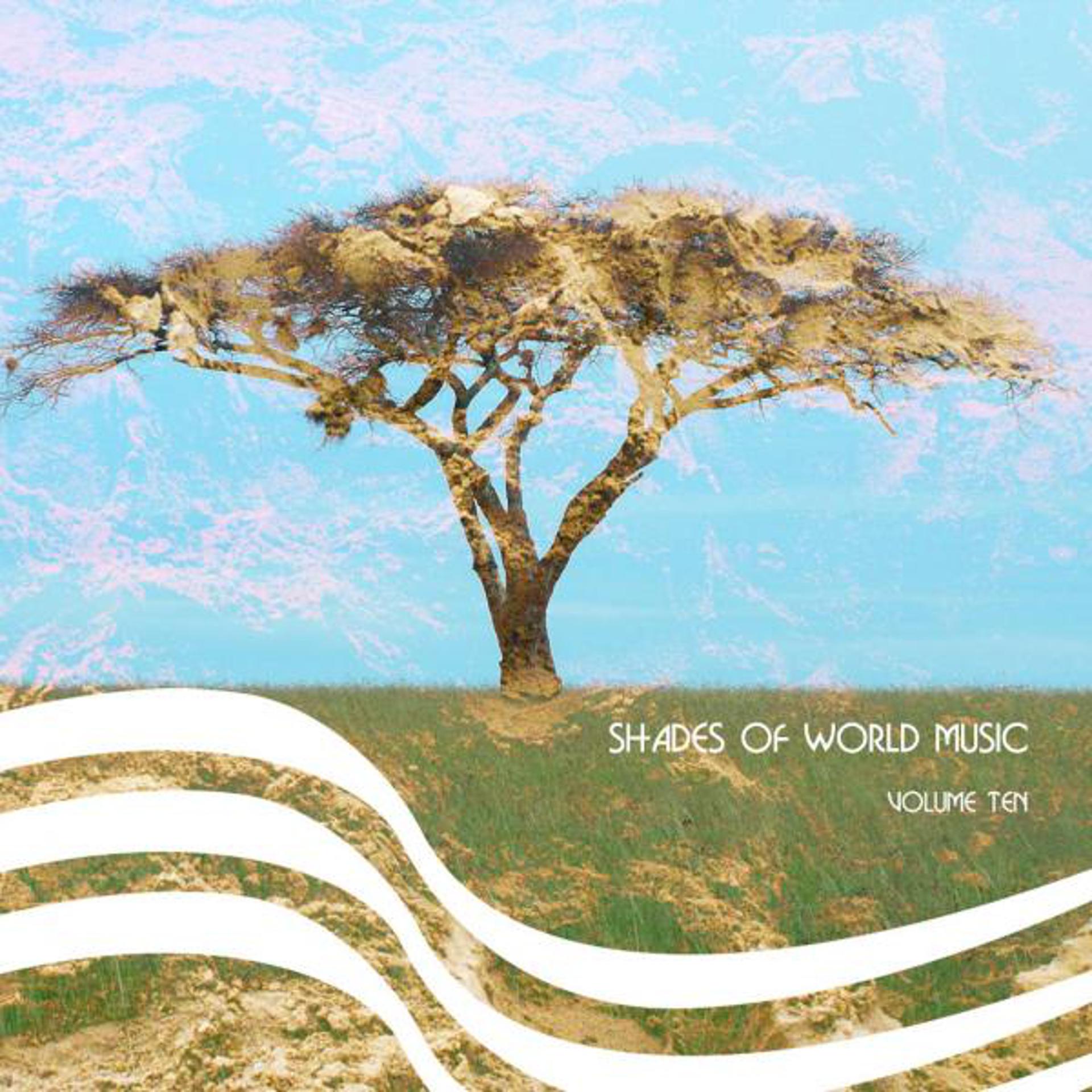 Постер альбома Shades Of World Music, Vol. 10