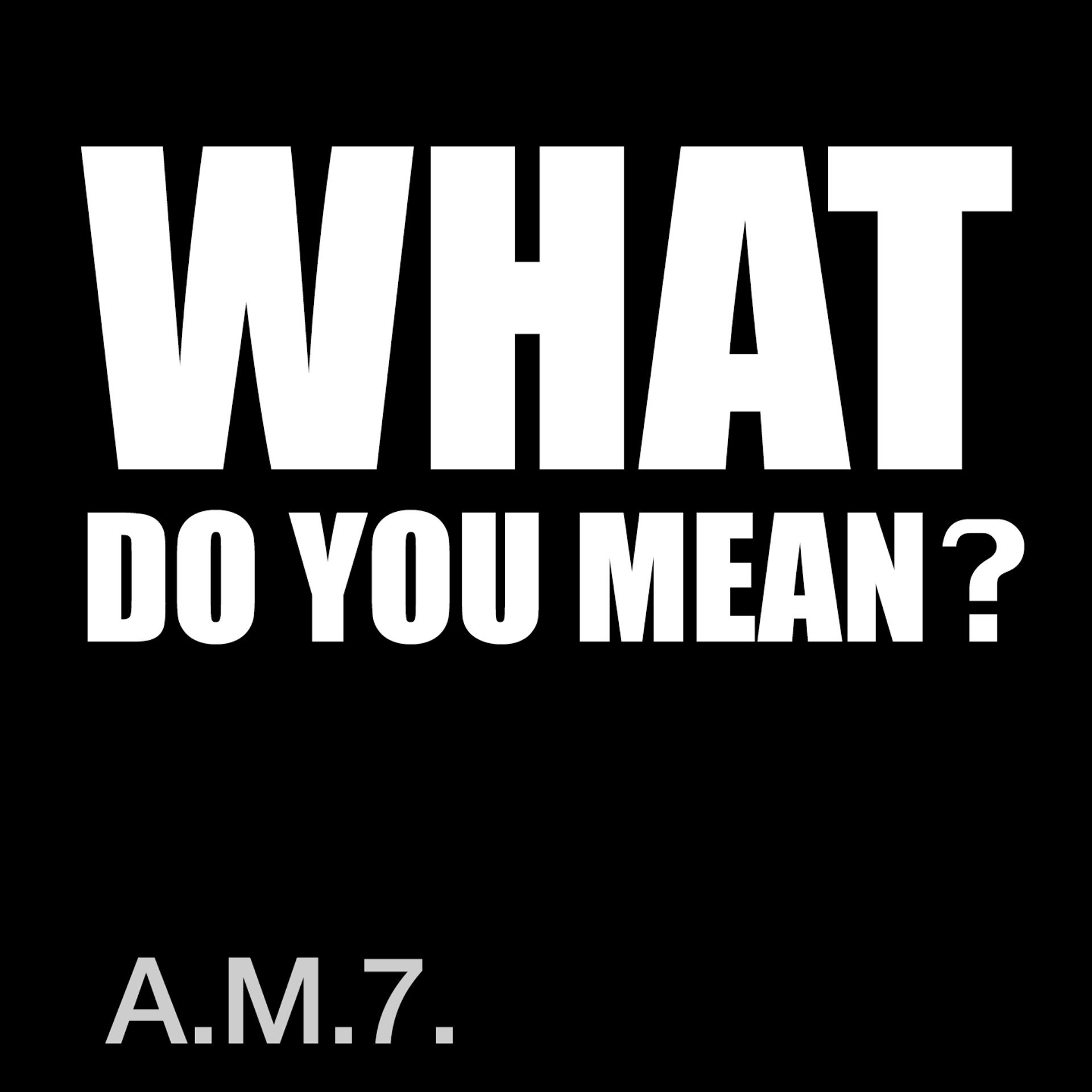 Постер альбома What Do You Mean?