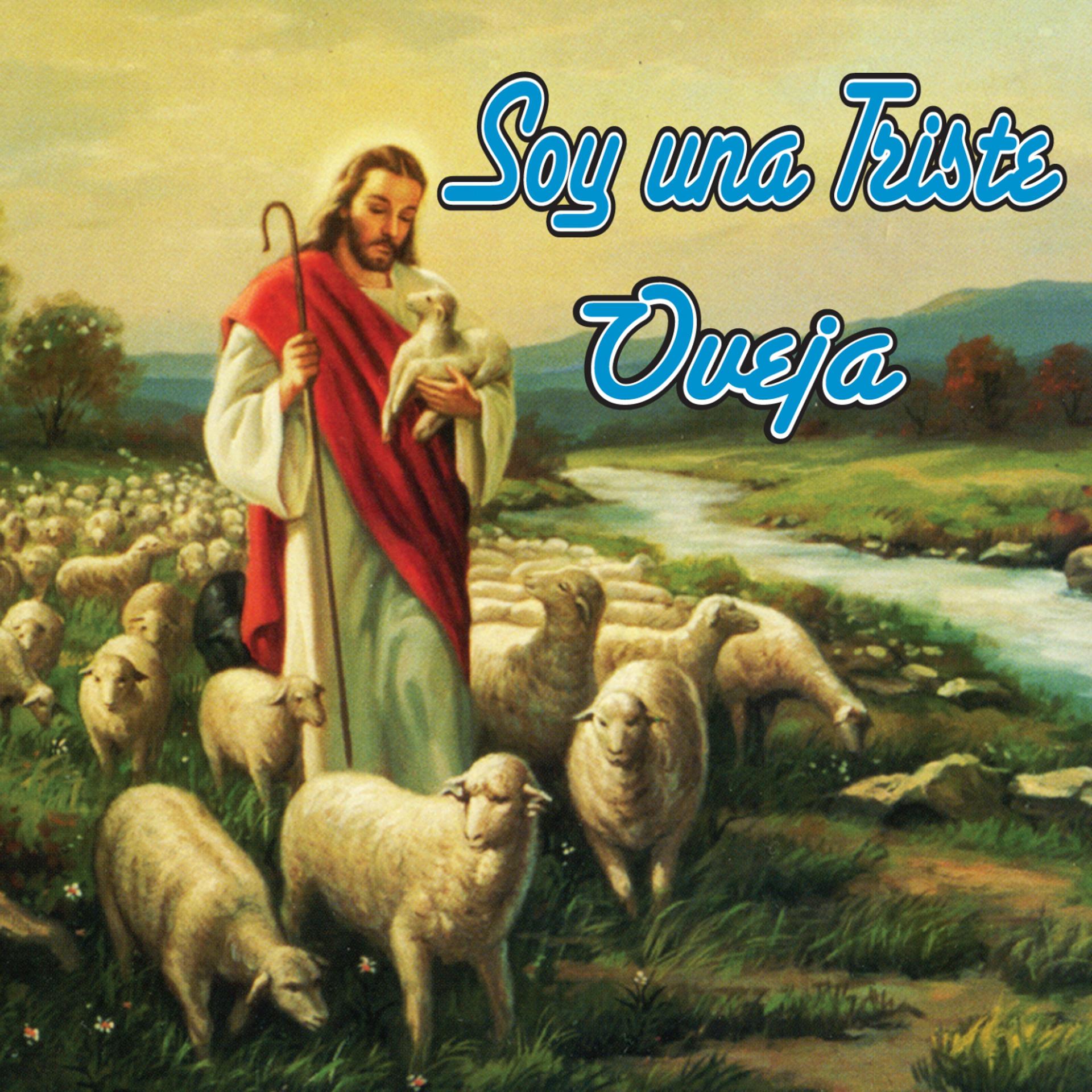 Постер альбома Soy una Triste Oveja