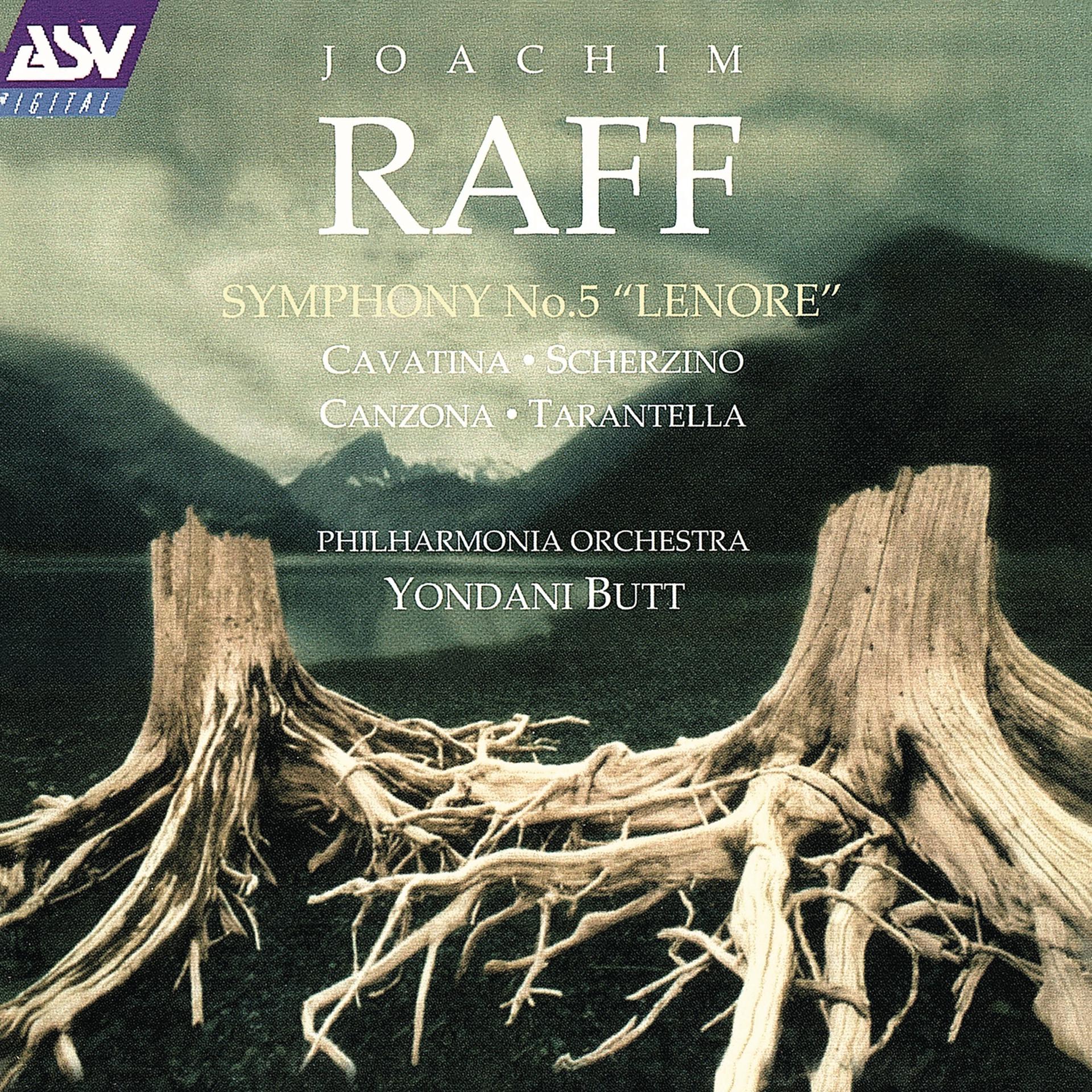 Постер альбома Raff: Symphony No. 5; Pieces Op. 85