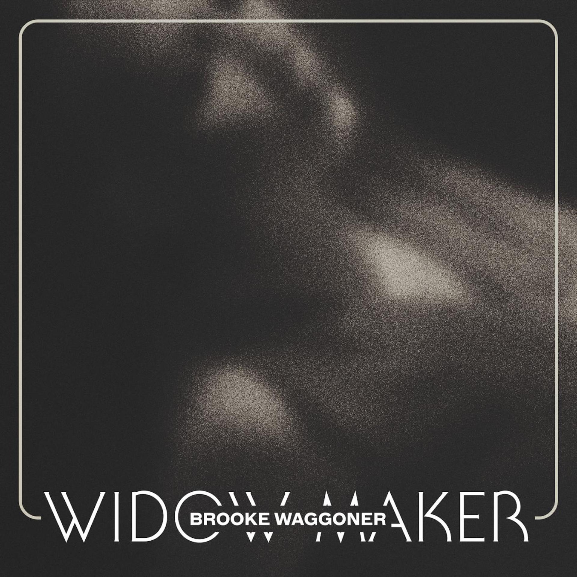 Постер альбома Widow Maker
